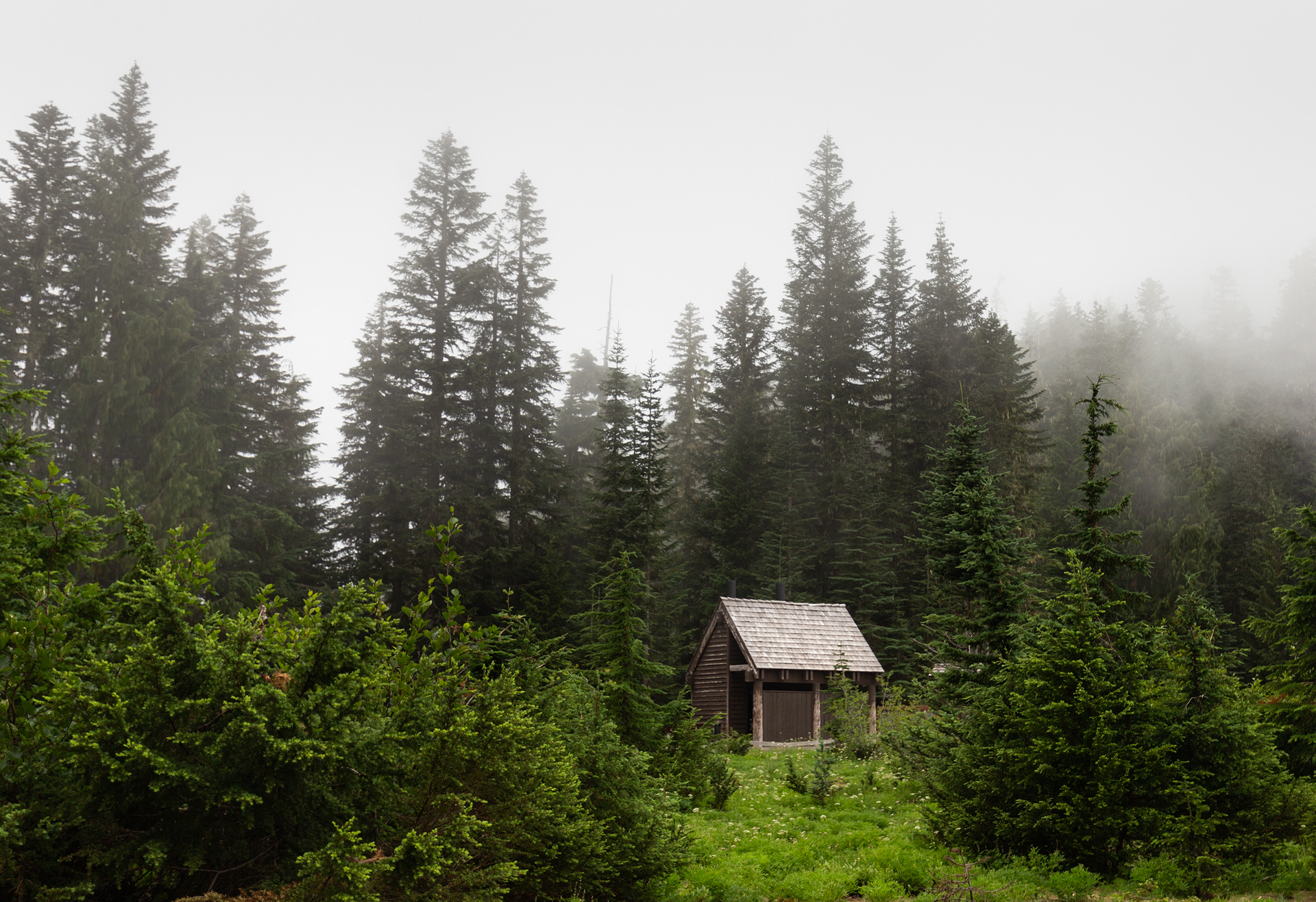 Wonderland Trail Mt Rainier-23.jpg