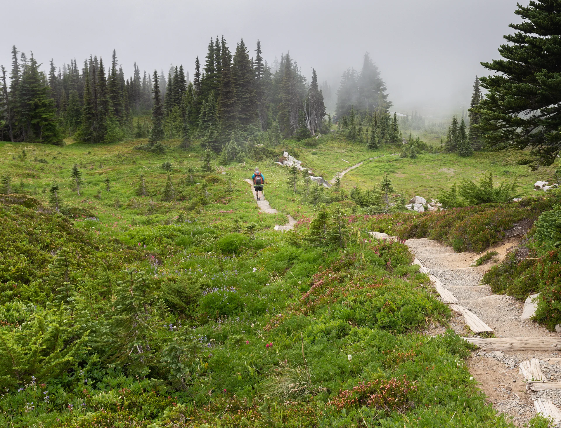 Hiking through Spray Park