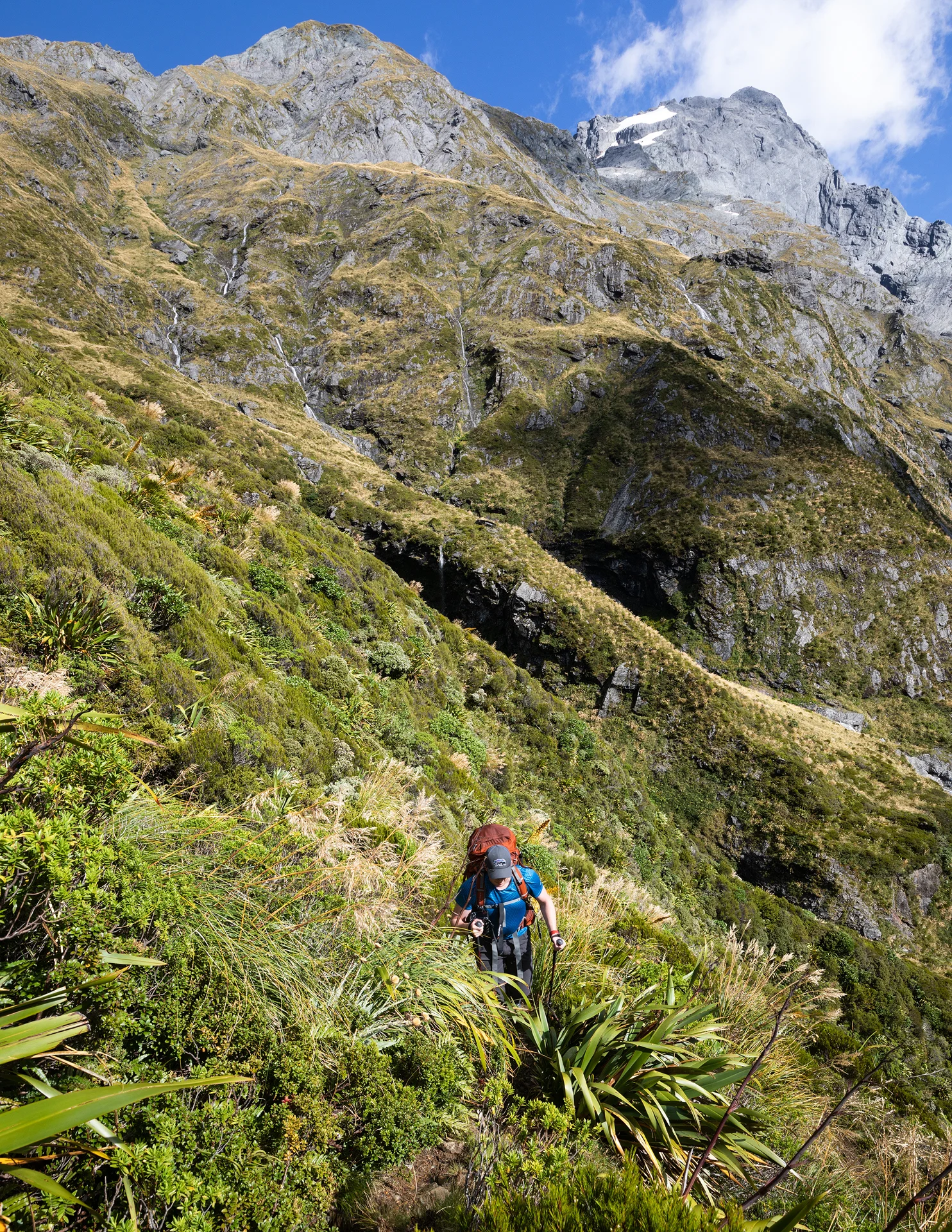 Heading up the steep trail toward Gillespie Pass