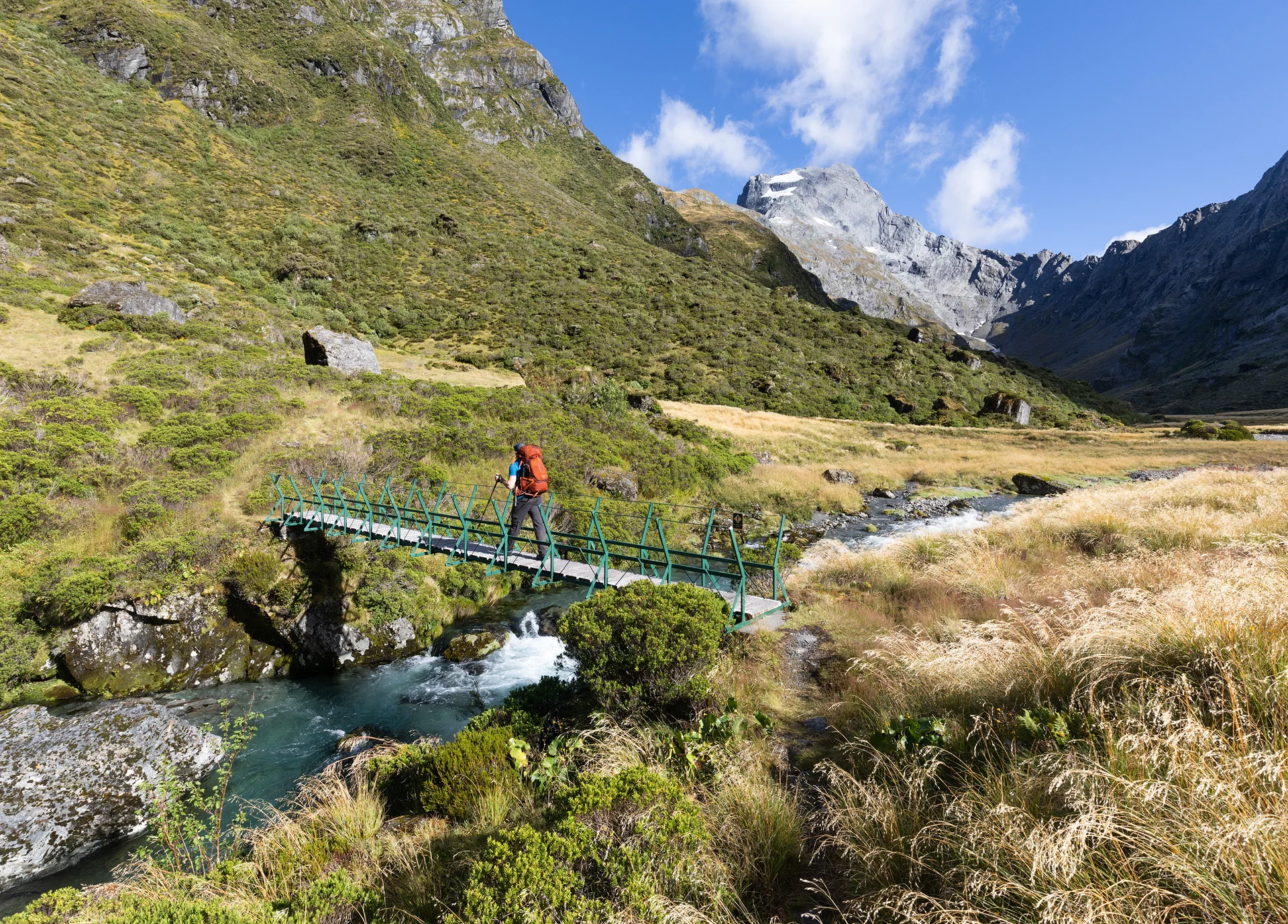 Gillespie Track New Zealand-10.jpg