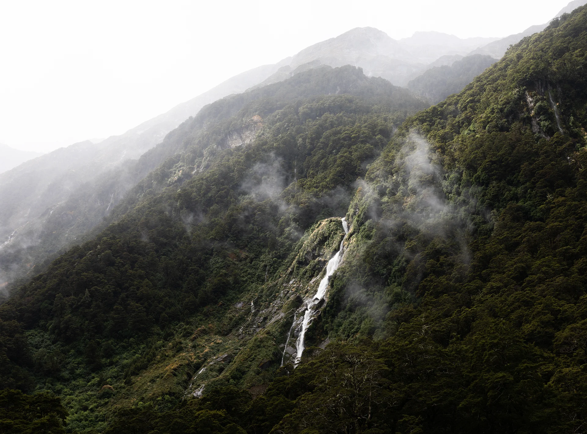 Gillespie Track New Zealand-6.jpg
