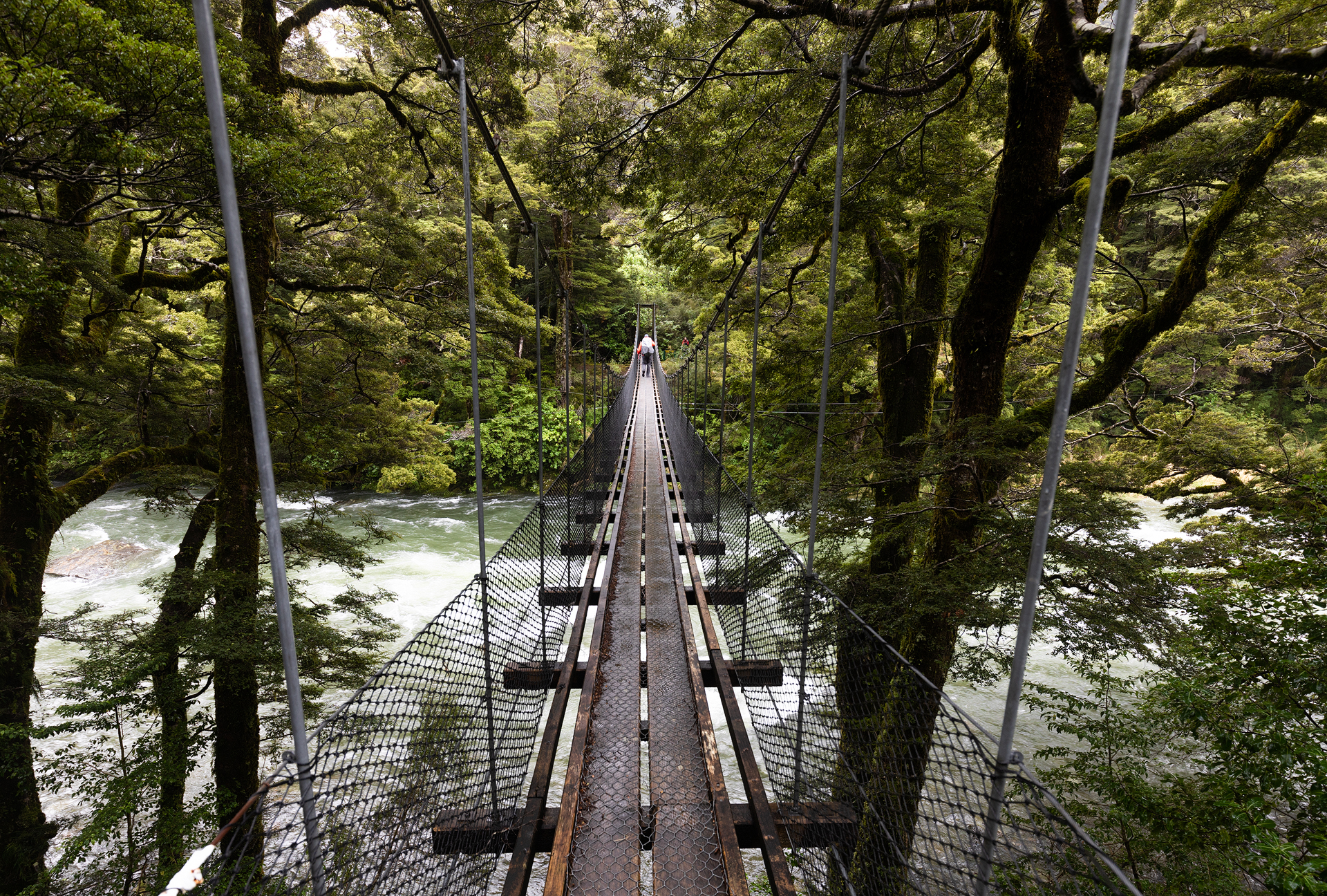 Gillespie Track New Zealand-5.jpg