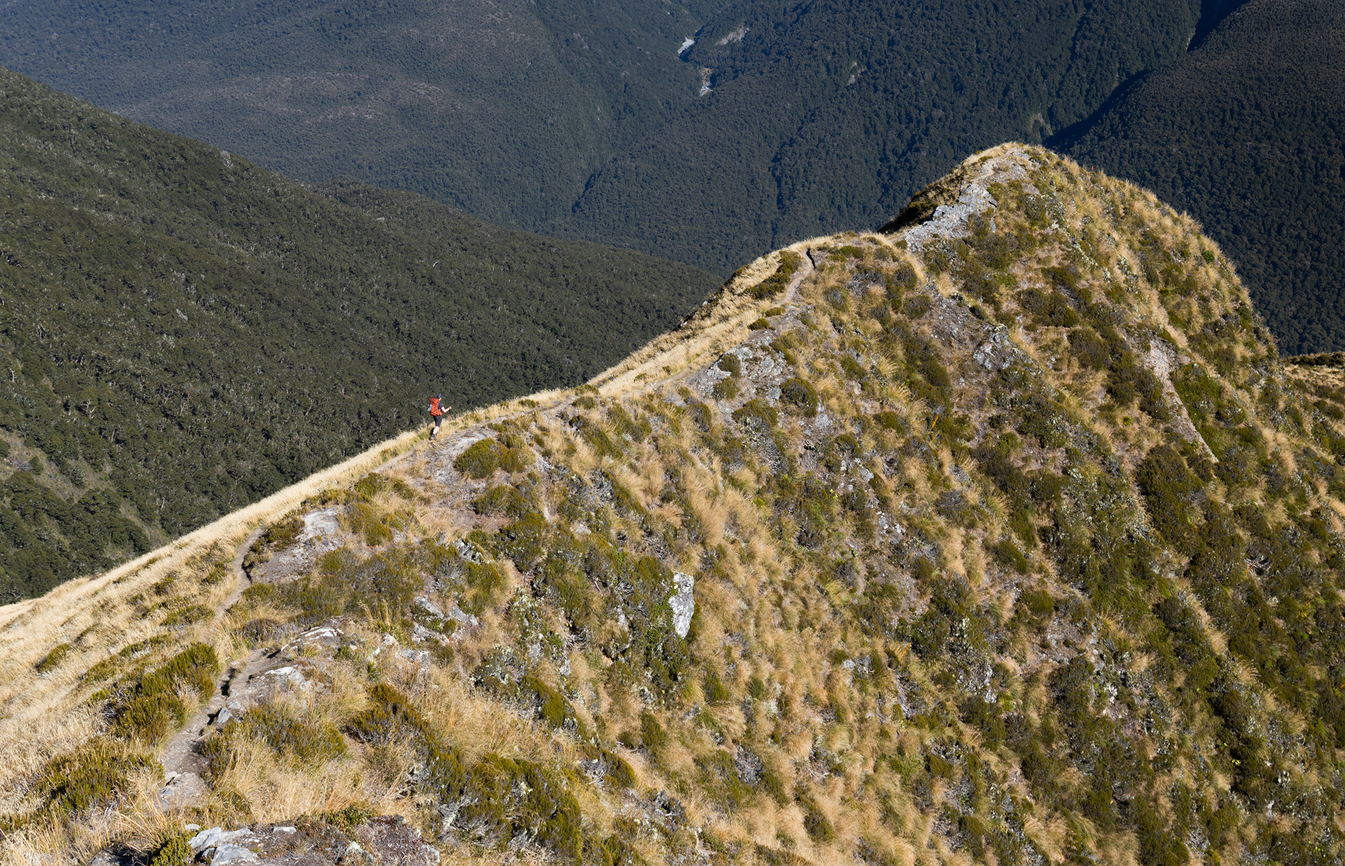 Brewster Hut Mt Aspiring New Zealand-16.jpg