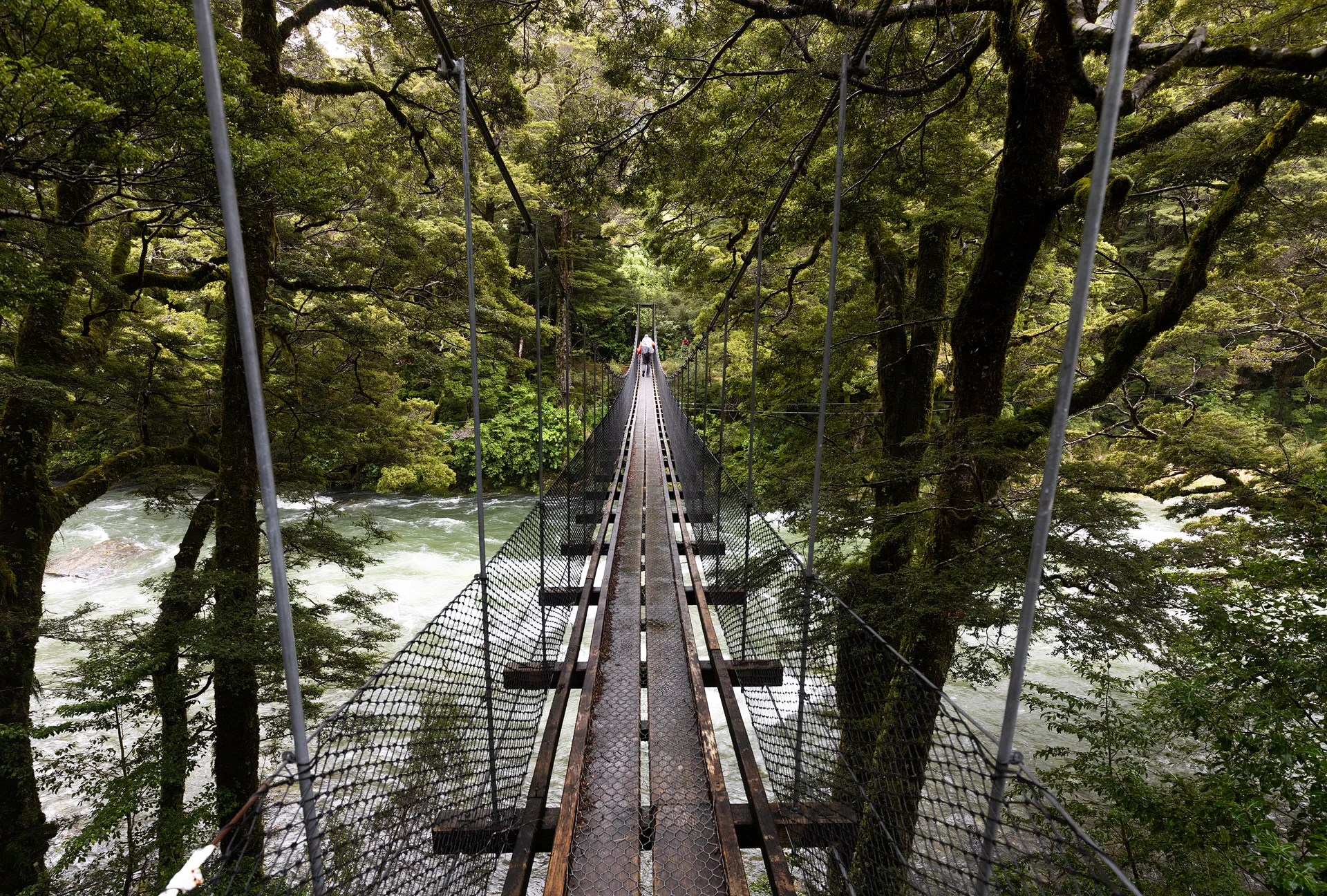 Gillespie Track.jpg