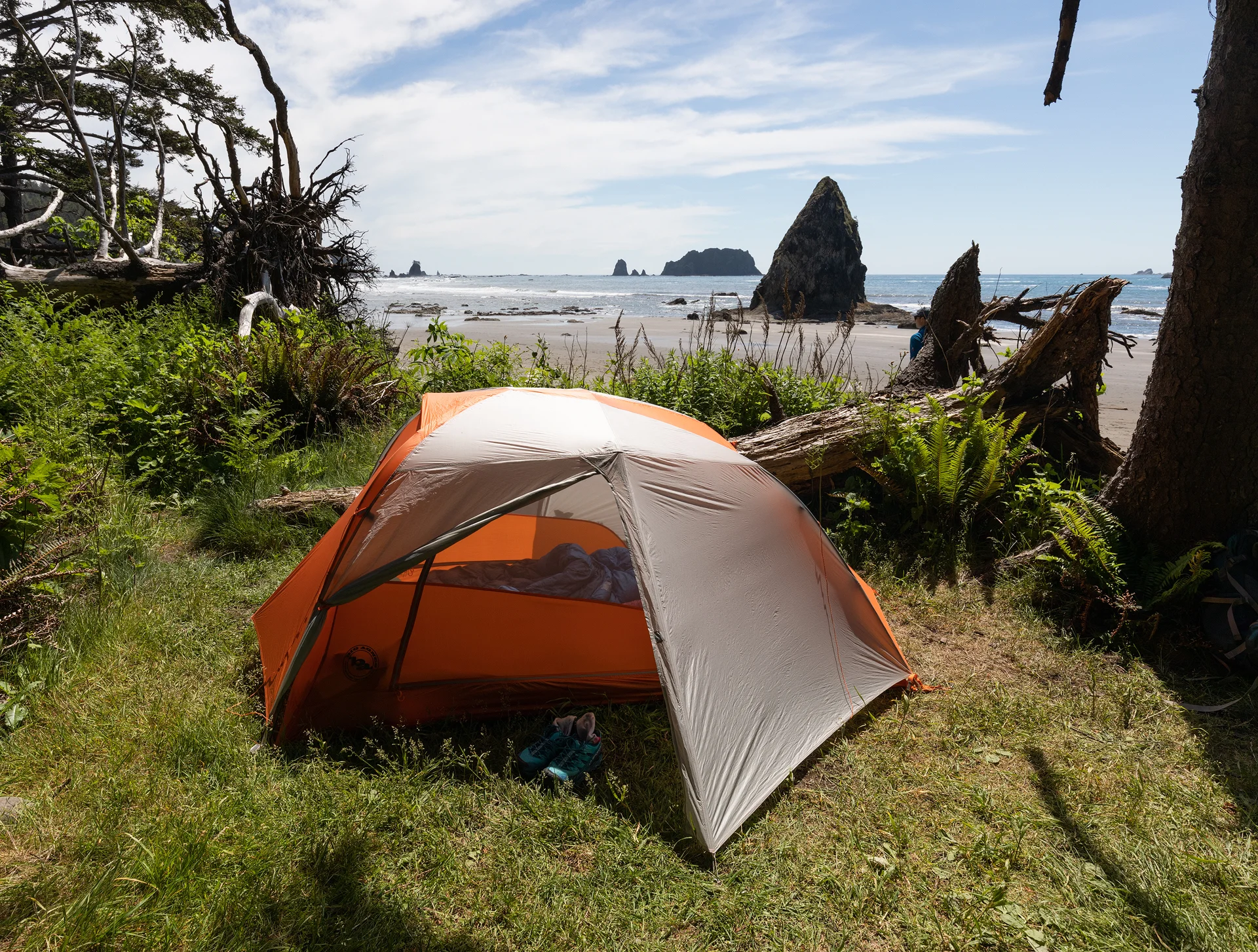 Olympic North Coast-5.jpg