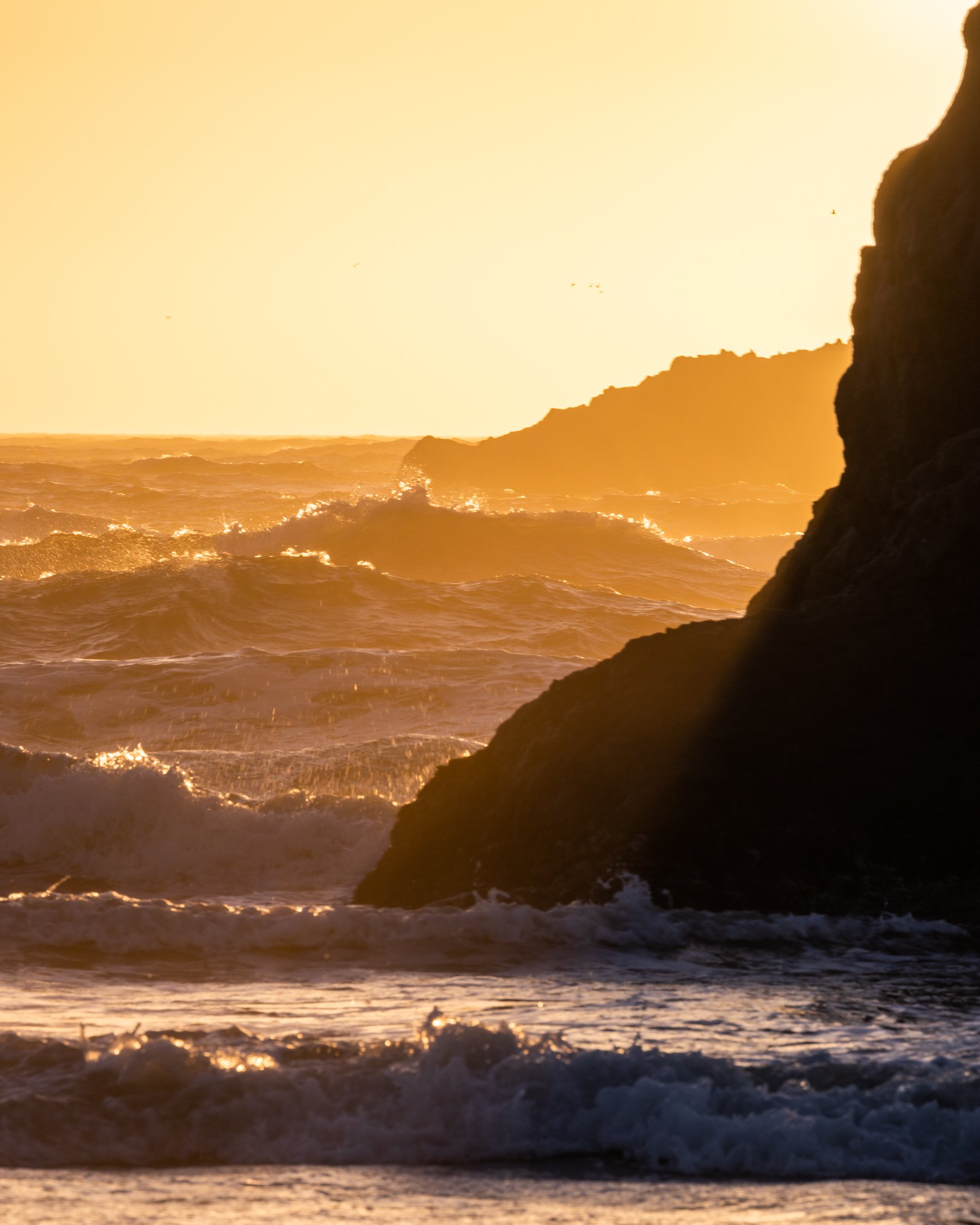 Oregon Coast Portraits-6.jpg