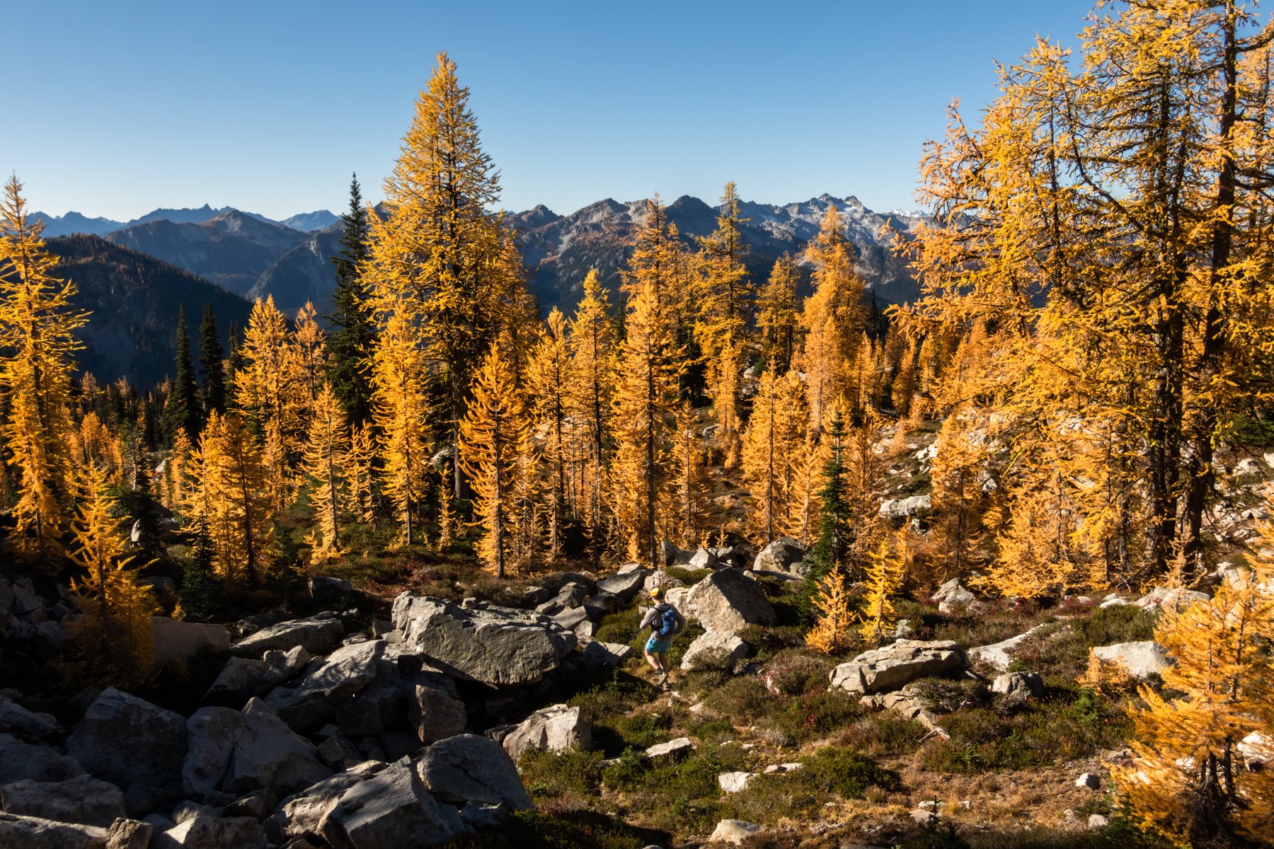Stiletto Loop Landscape-7.jpg