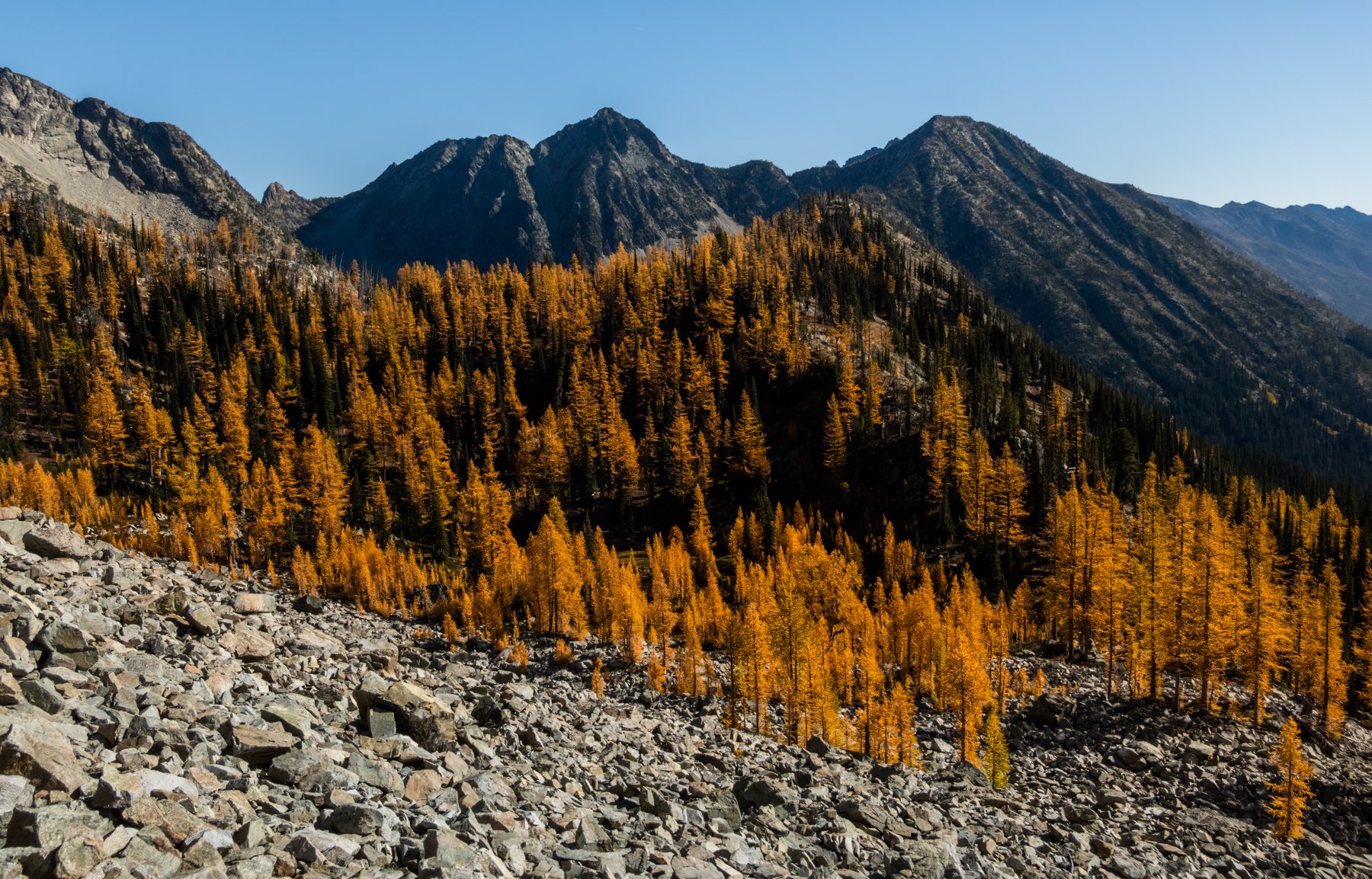 Stiletto Loop Landscape-15.jpg