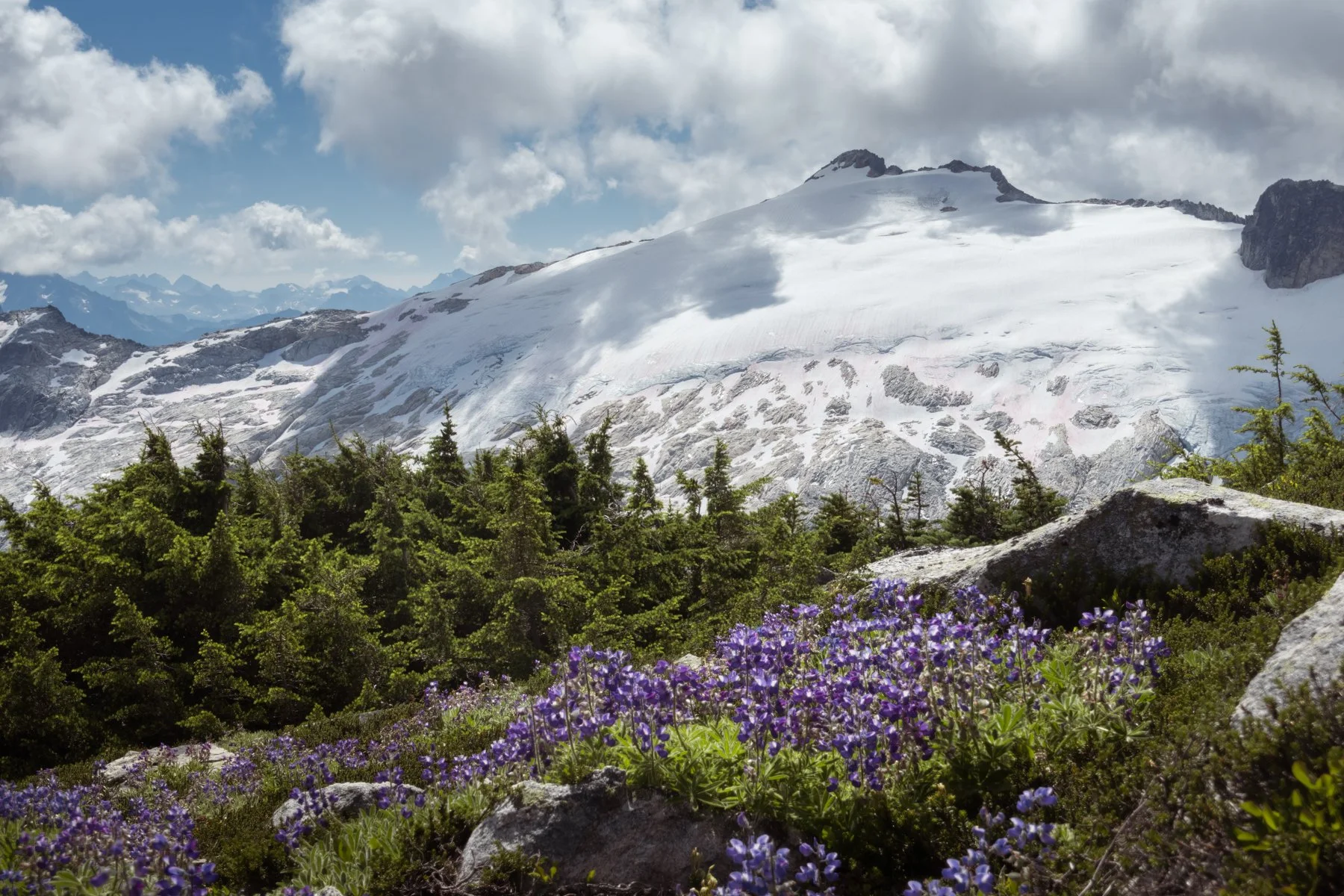 Snowking - Landscape-12.jpg
