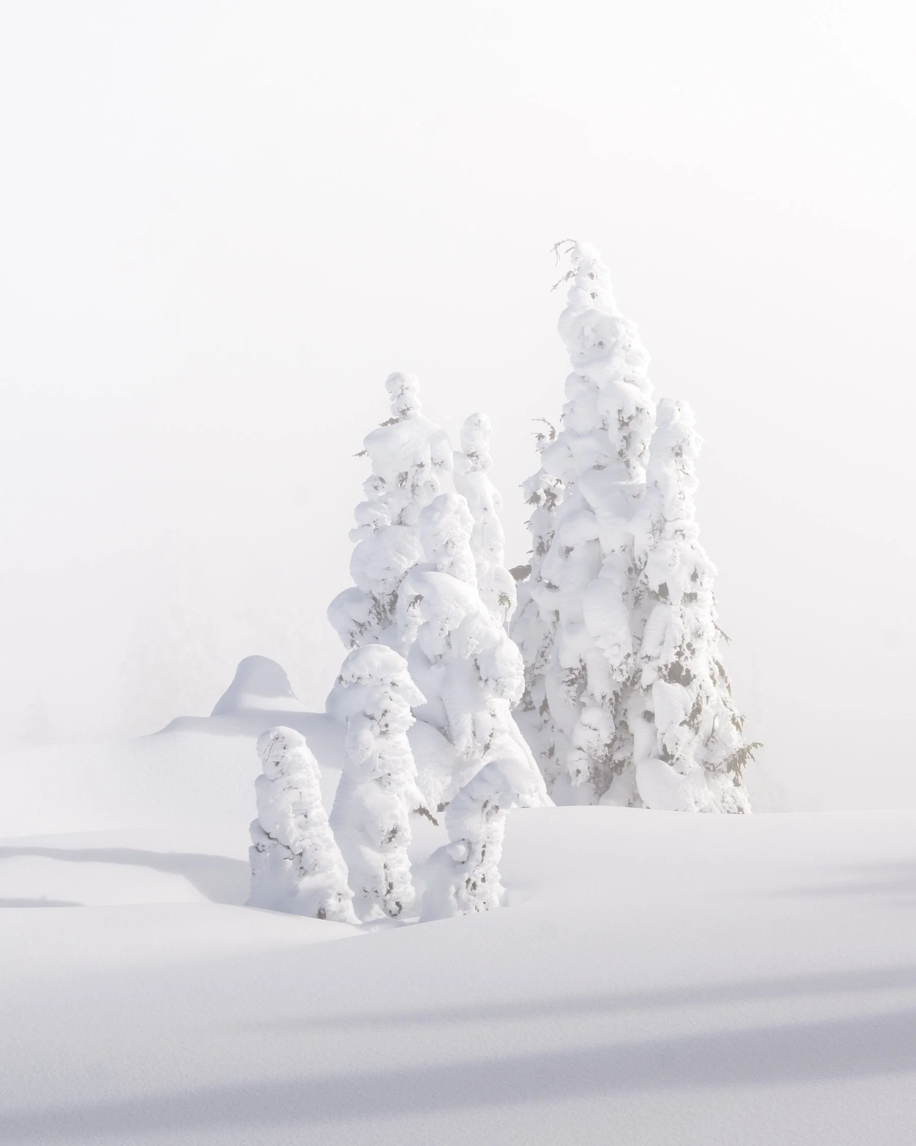 02-28-26 Ptarmigan - Portrait-12.jpg
