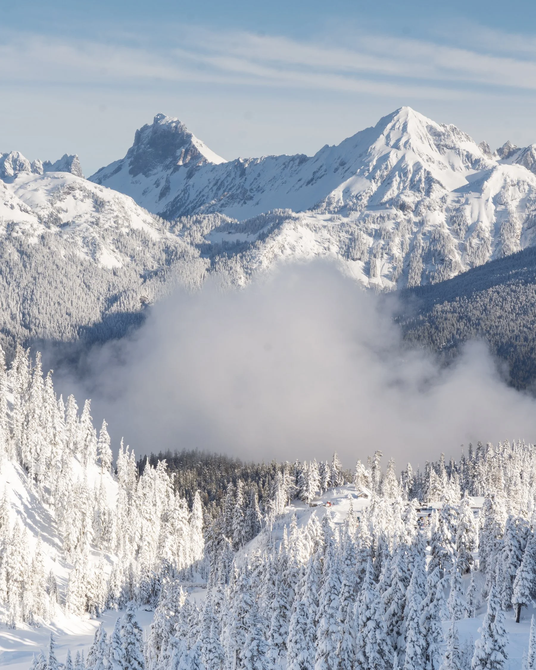 02-28-26 Ptarmigan - Portrait.jpg