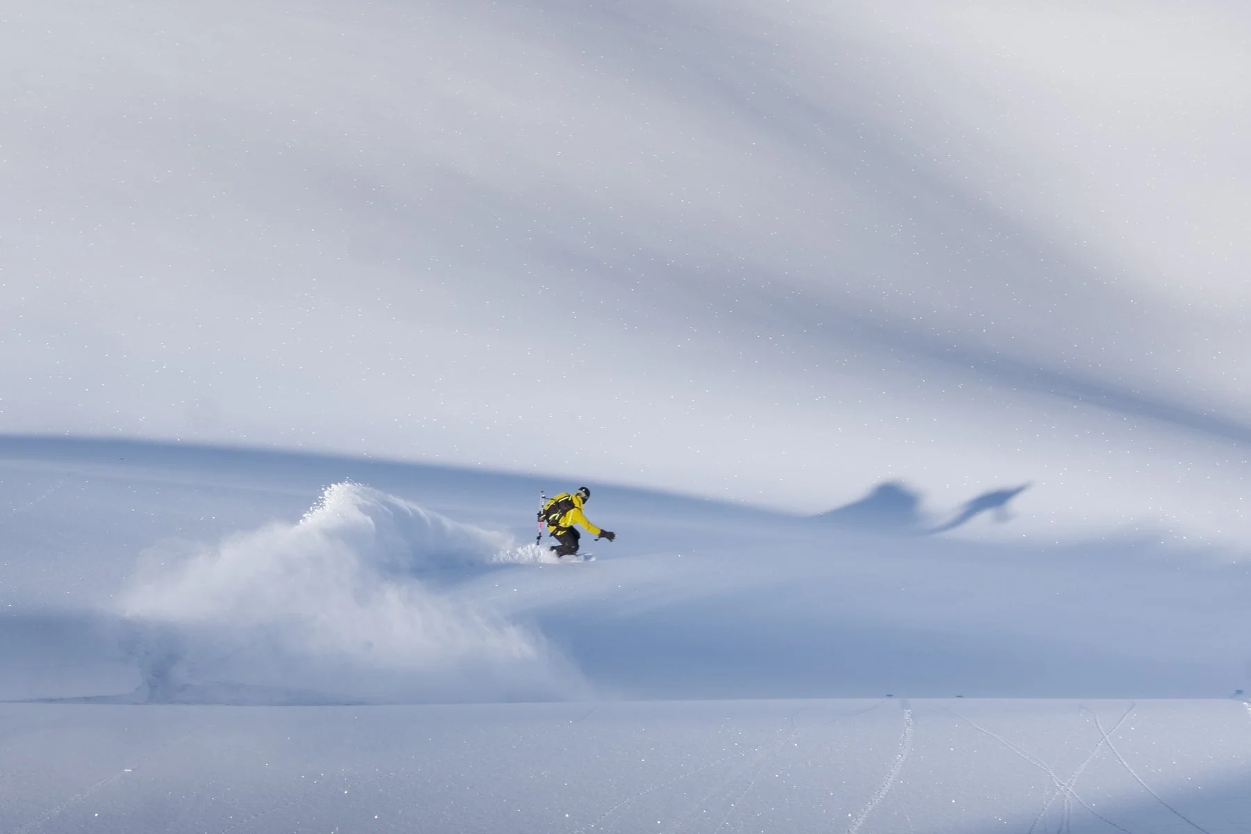 02-28-26 Ptarmigan - Landscape-20.jpg