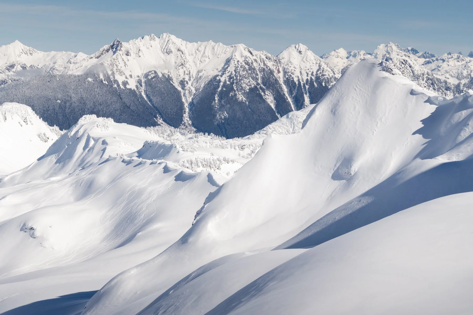 02-28-26 Ptarmigan - Landscape-31.jpg