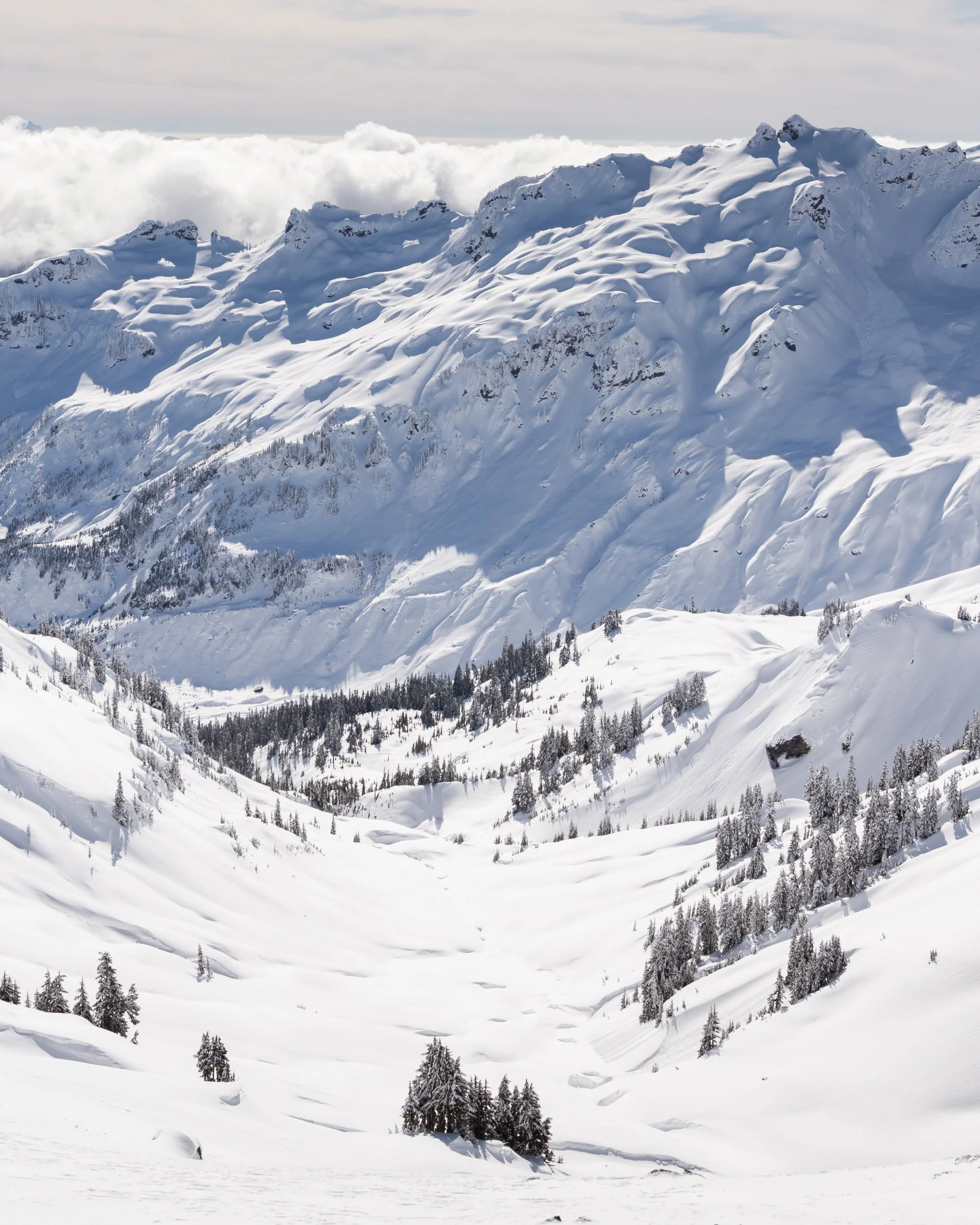 02-28-26 Ptarmigan - Portrait-11.jpg