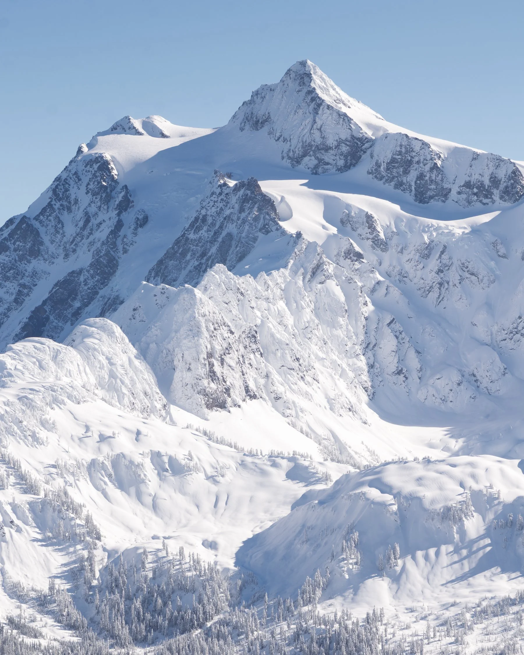 02-28-26 Ptarmigan - Portrait-6.jpg