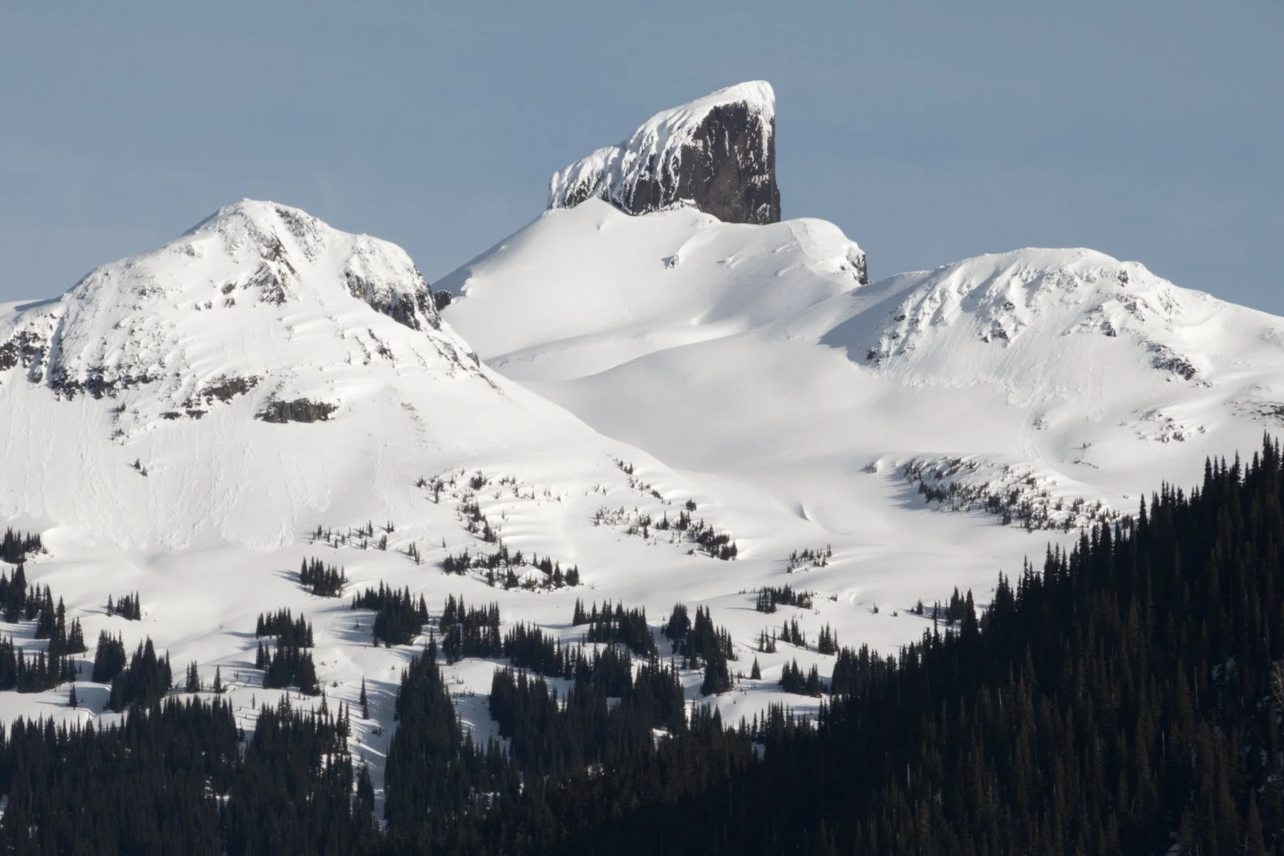 Garibaldi Landscape-27.jpg