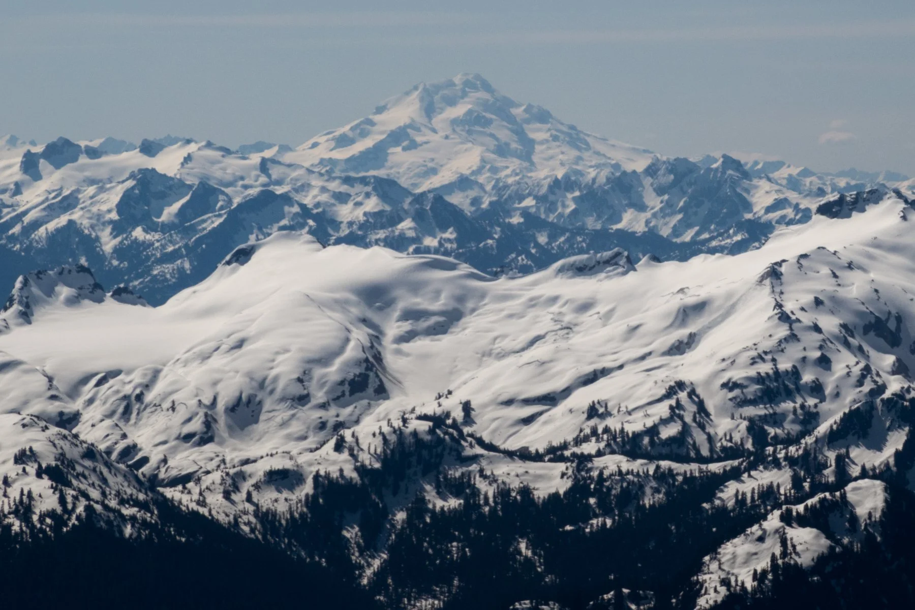 Shuksan Landscape-15.jpg