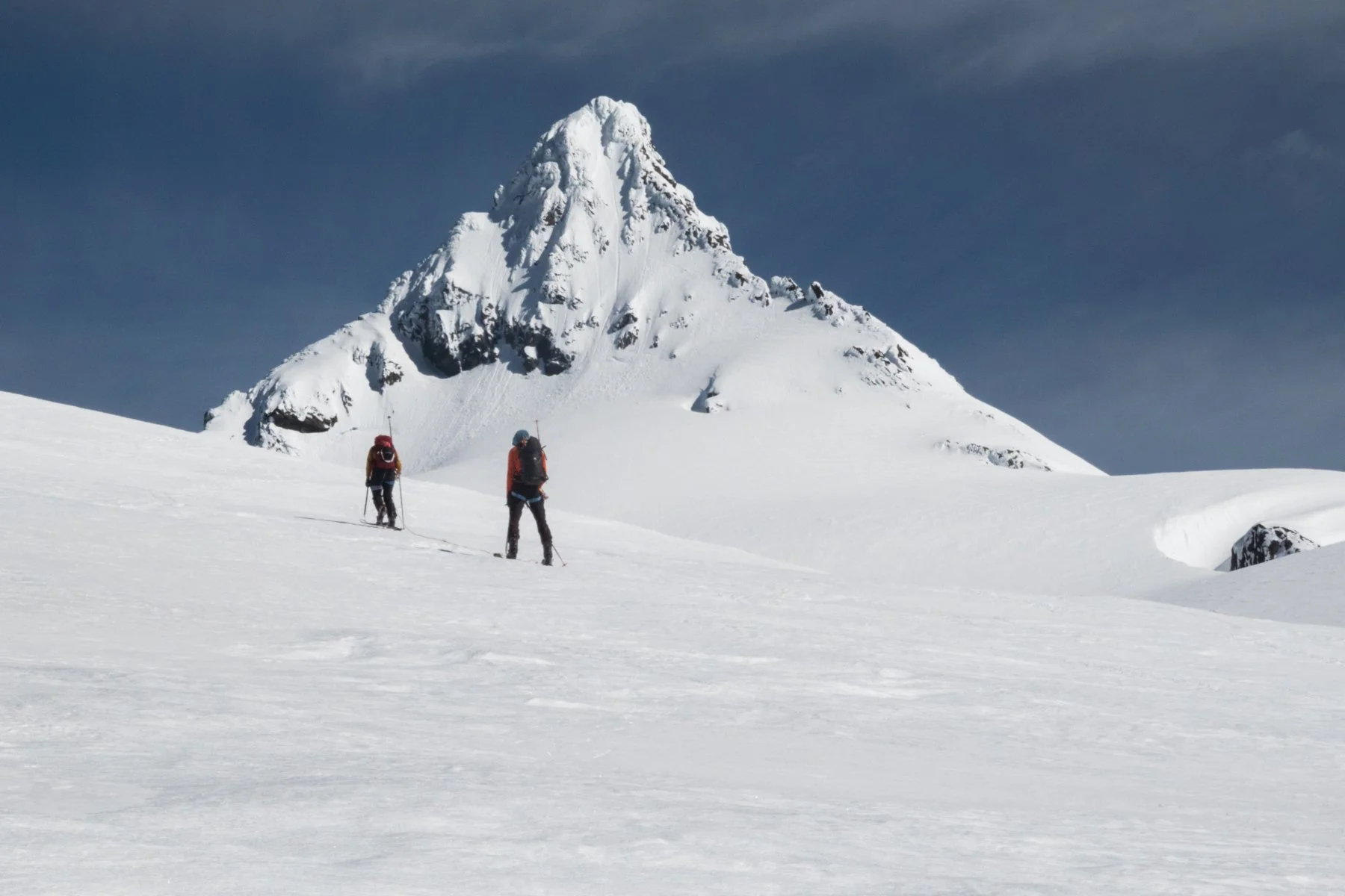 Shuksan Landscape-10.jpg