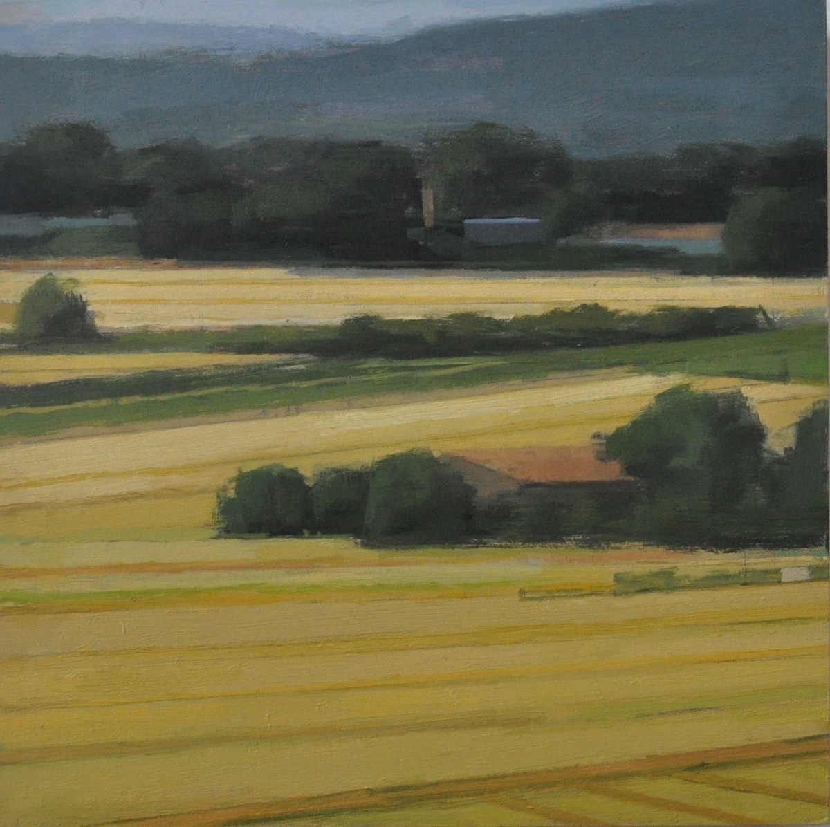 Claudia Rilling Fields in Light, 2015 Oil on Panel 8 x 8 inches For More Information Artist Biography, Exhibitions & Collections