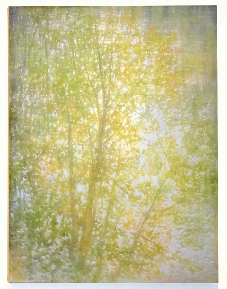 Tom Monaghan Flowing Light , 2015 Oil on Canvas 60 x 48 inches $11,500 Offered at: $8,250 I’m Interested!