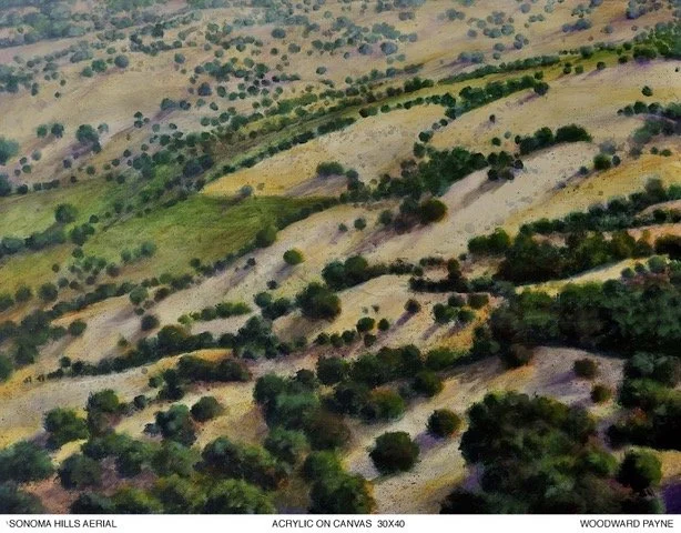 Sonoma Hills Arial .jpeg