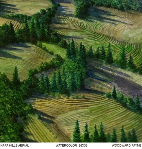 Napa Hills Arial II.36 x 36 in..jpeg