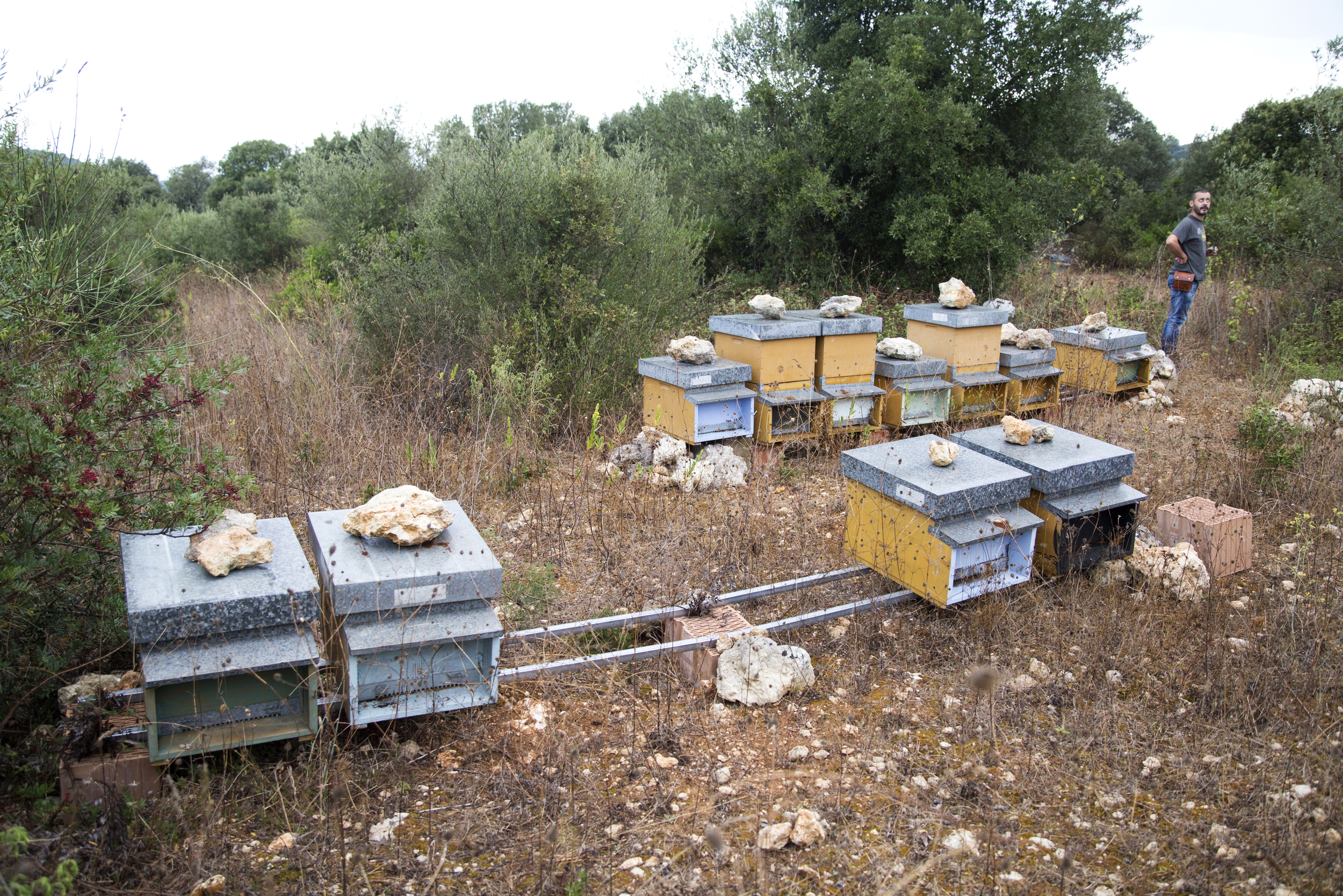  Filigheddu (Sassari), 2014. Nella Nurra di Sassari, a 27 km da Porto Torres, Giuseppe Marongiu del comitato Nurra Dentro produce miele. Le sue api provengono dall’entroterra industriale infestato dai pesticidi. La loro produzione di miele era molto 