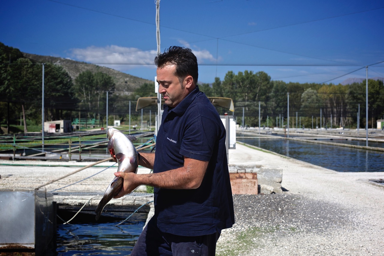  Dino Chiereghin, responsabile di un importante allevamento di trote a Bussi situato a monte del paese, dove le acque sono purissime ed incontaminate. Bussi sul Tirino (Pescara), 2014. 