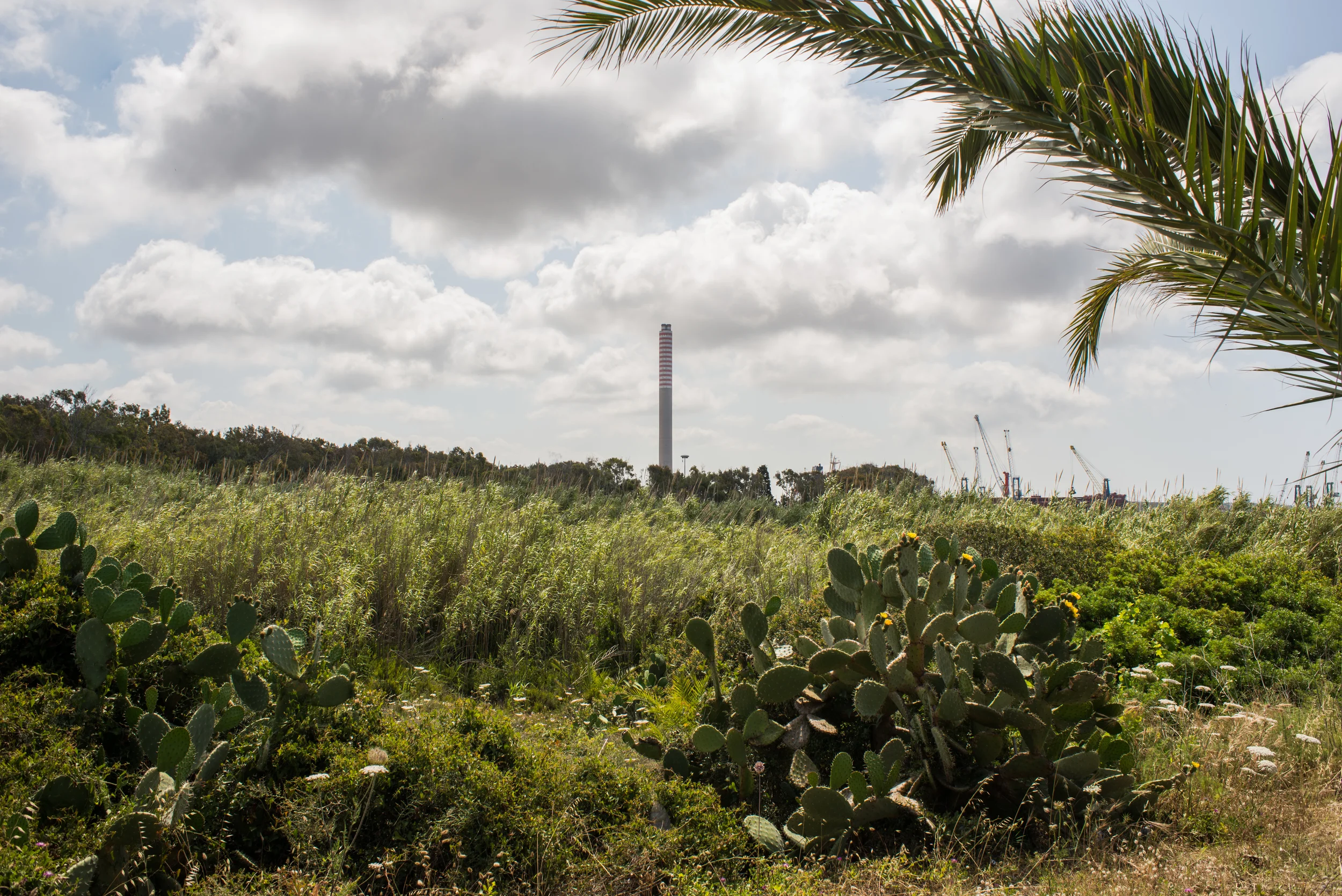 La ciminiera di 250 metri della centrale elettrica ENEL Grazia Deledda del polo industriale di Portovesme, vista dal vicino comune di Portoscuso. La centrale, tutt'ora attiva, brucia olio, carbone e biomasse. La ciminiera, inizialmente alta 50 metri, fu innalzata a 250 metri per evitare che i fumi si concentrassero solo su Portoscuso. Con questa altezza i fumi sono in grado di raggiungere la troposfera. Il polo, negli anni di crescita ed espansione, dava lavoro a circa 6000 persone. 