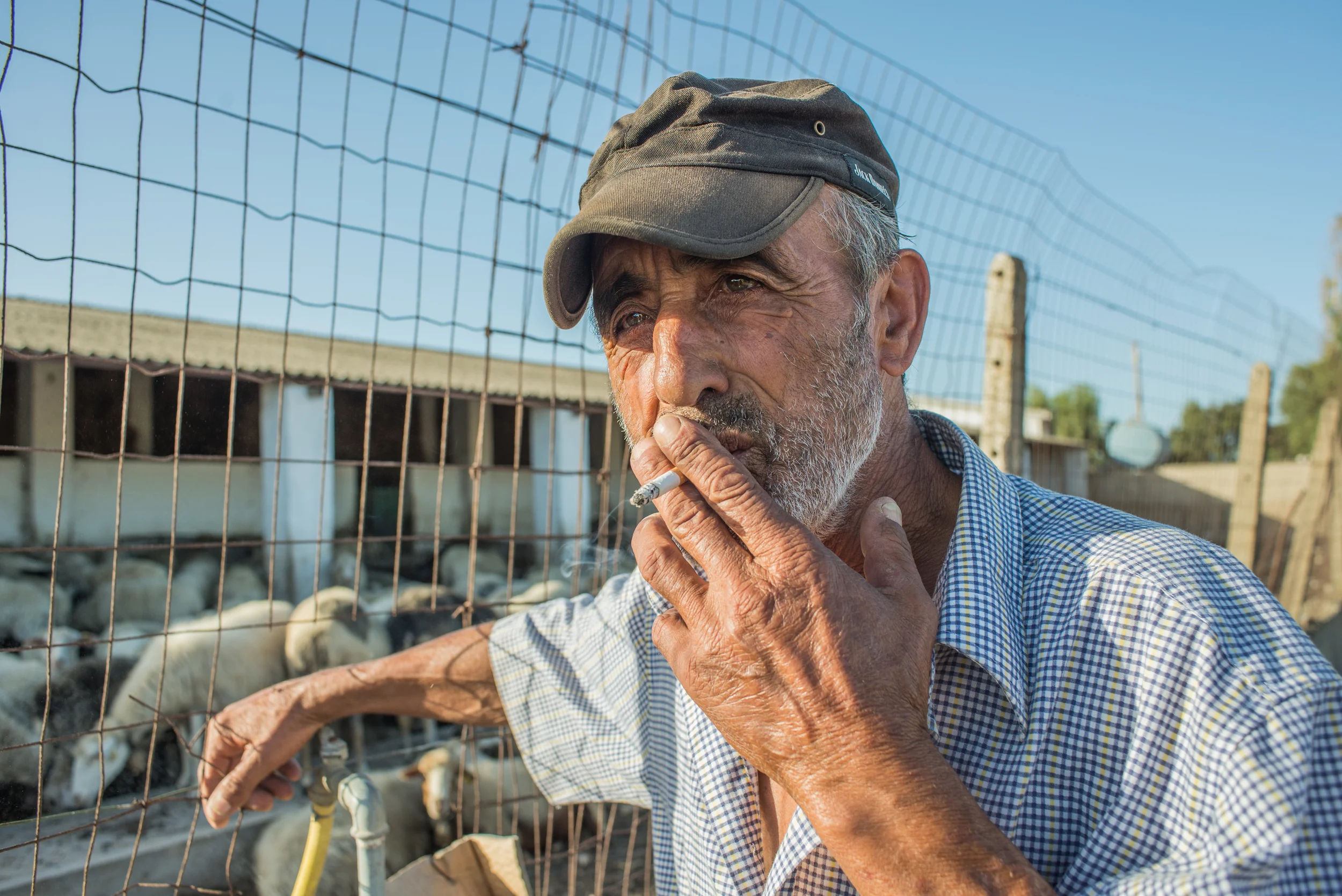 Nel mese di maggio 2014, il sindaco di Portoscuso ha emesso un'ordinanza rivolta a dodici allevamenti - tra questi quello in cui Luigi lavora come pastore - per vietare la commercializzazione, macellazione e distribuzione di pecore, capre e bovini. Il provvedimento, che ordinava anche la distruzione del latte prodotto, è stato deciso a causa di un superamento dei limiti di contaminazione da metalli pesanti, rilevato nel latte degli animali allevati a Portoscuso.