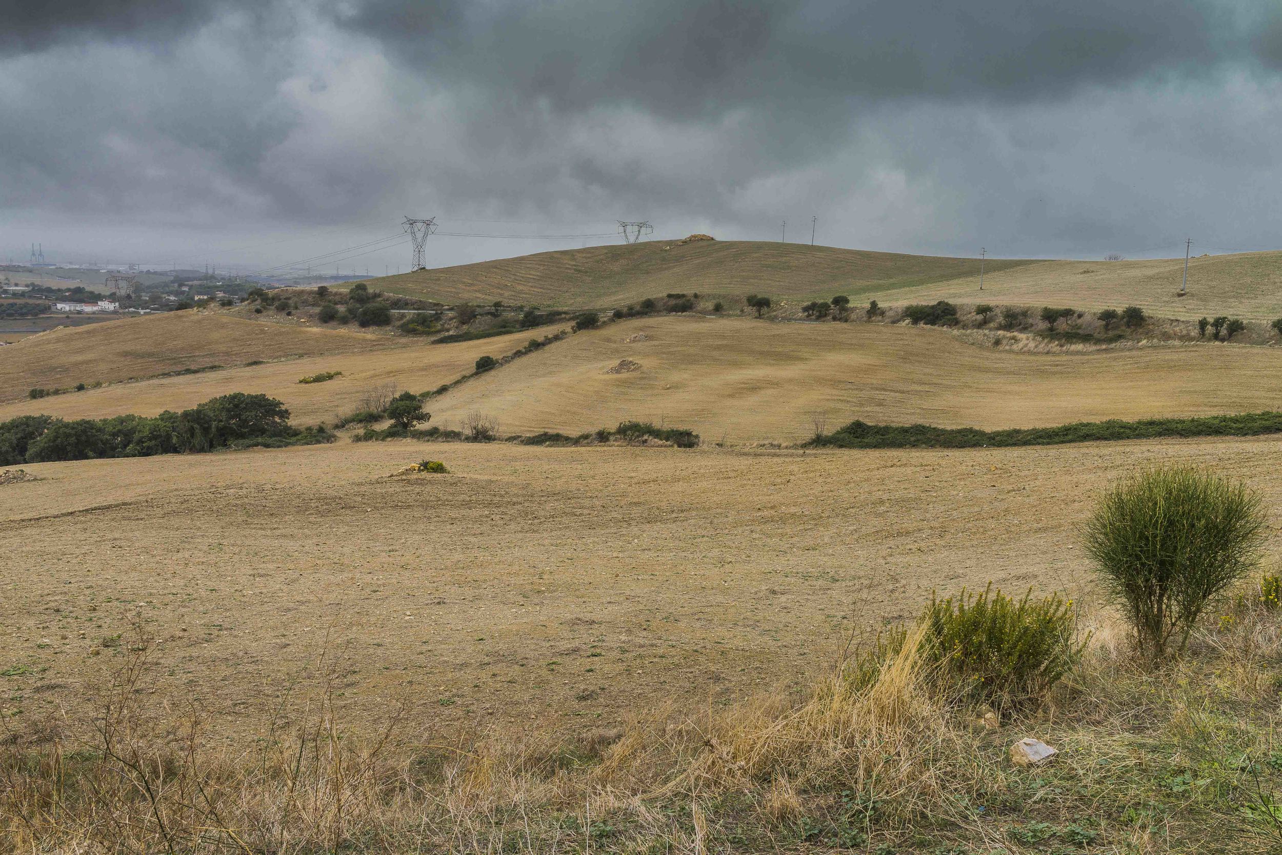  Zona agricola a nord di Civitavecchia, in prossimità del comprensorio militare S. Lucia. Le falde acquifere sotterranee sono minacciate da sversamenti non autorizzati di sostanze tossiche di uso agricolo. Ottobre, 2014. (David Pagliani Istivan) 