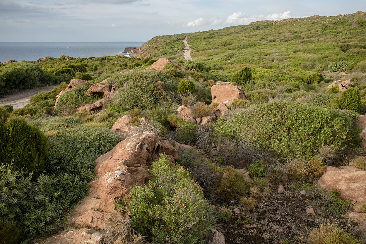 Questo sentiero, che da Portoscuso conduce a Capo Altano - promontorio costituito da rocce vulcaniche e da una vegetazione di lentisco e ginepro coccolone - è solo un piccolo tratto dei trenta chilometri di strade sarde riempite con scarti tossici industriali ricchi di metalli pesanti. Quindici mila tonnellate di rifiuti con elevati tenori di zinco, nichel, piombo, cadmio, rame, solfati e floruri provenienti dalle lavorazioni degli impianti della Portovesme srl e smaltiti illecitamente nella realizzazione di riempimenti stradali e perfino nel piazzale dell'ospedale cagliaritano Brotzu. Lo scorso 7 gennaio 2015 il Tribunale di Cagliari ha emesso sentenza di condanna a due anni e sei mesi di reclusione (pena sospesa) nei confronti dell'amministratore unico della Tecnoscavi, del gestore della società Gap service s.r.l. e del socio-coordinatore dell’area chimico-analitica del laboratorio di analisi Tecnochem s.r.l. La sentenza rientra nell'ambito dell'unico procedimento penale n 5890/2007 G.I.P. relativo all'indagine condotta dai Carabinieri del N.O.E. di Cagliari su disposizione della Procura della Repubblica del capoluogo (p.m. Daniele Caria) relativa al più ingente traffico illecito di rifiuti industriali finora riscontrato in Sardegna. 