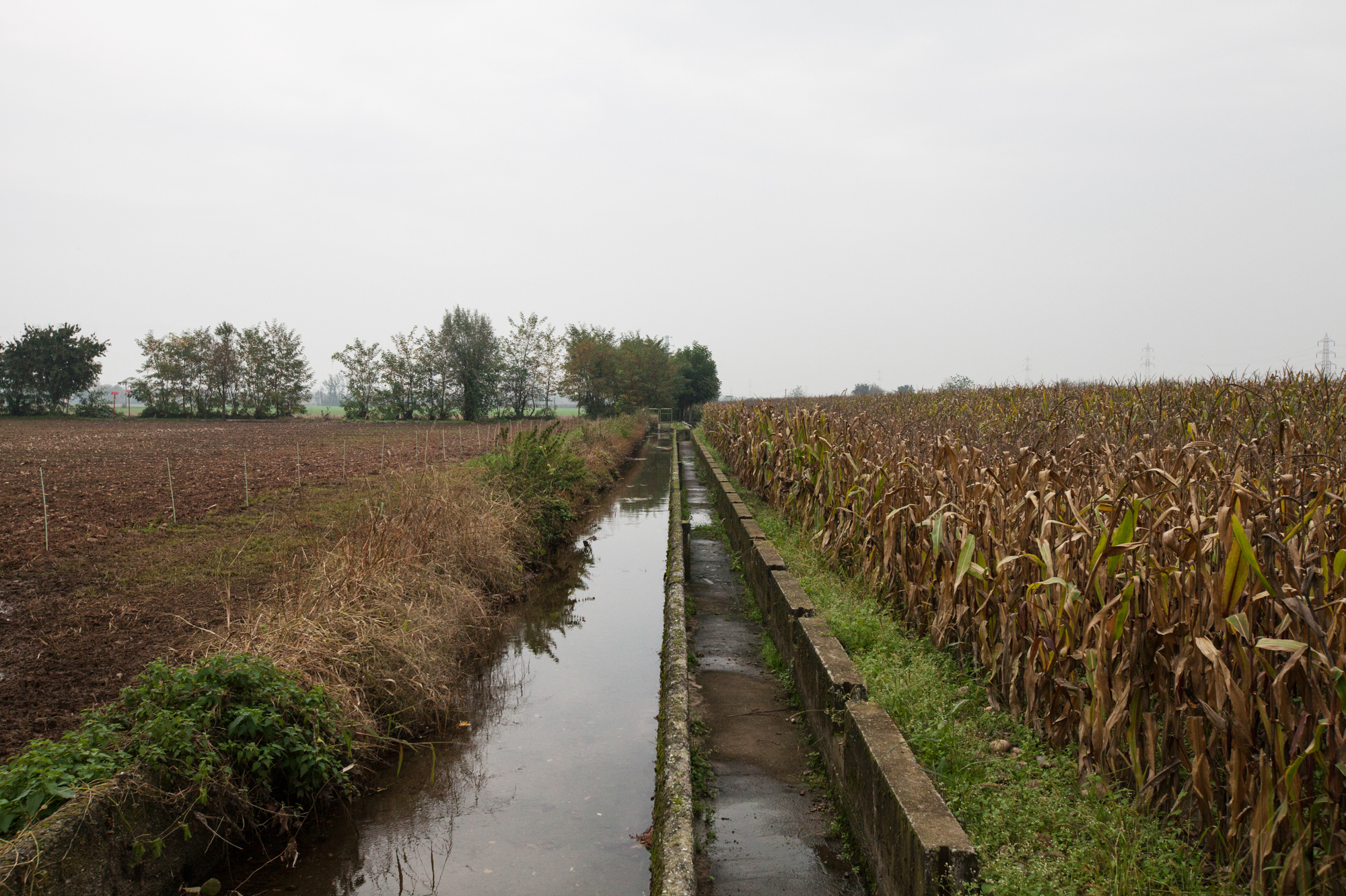  Lo scarico della fabbrica per quasi un secolo la principale sorgente delle rogge che andavano ad irrigare i campi a sud della fabbrica.Brescia / Italia. Ottobre 2013 