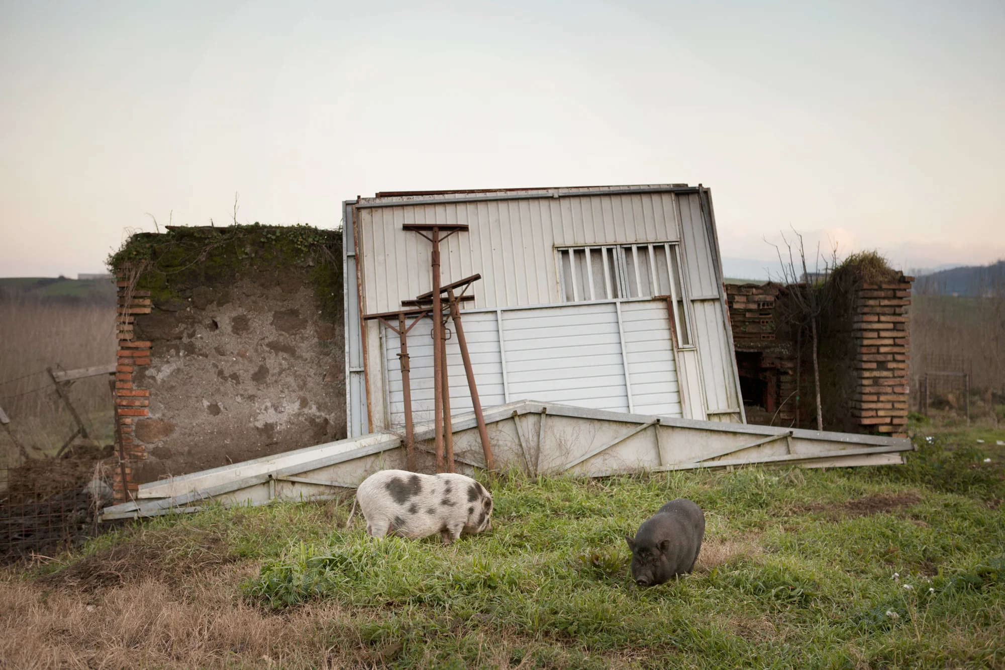 Sui terreni destinati all’attività agricola e di allevamento ora pascolano solo animali non destinati all’uso alimentare e la regione Lazio incentiva gli agricoltori alla coltivazione di alberi di pioppo in quanto, secondo recenti ricerche, limiterebbe l’assorbimento di metalli pesanti da parte del terreno stesso. Colleferro, dicembre 2013