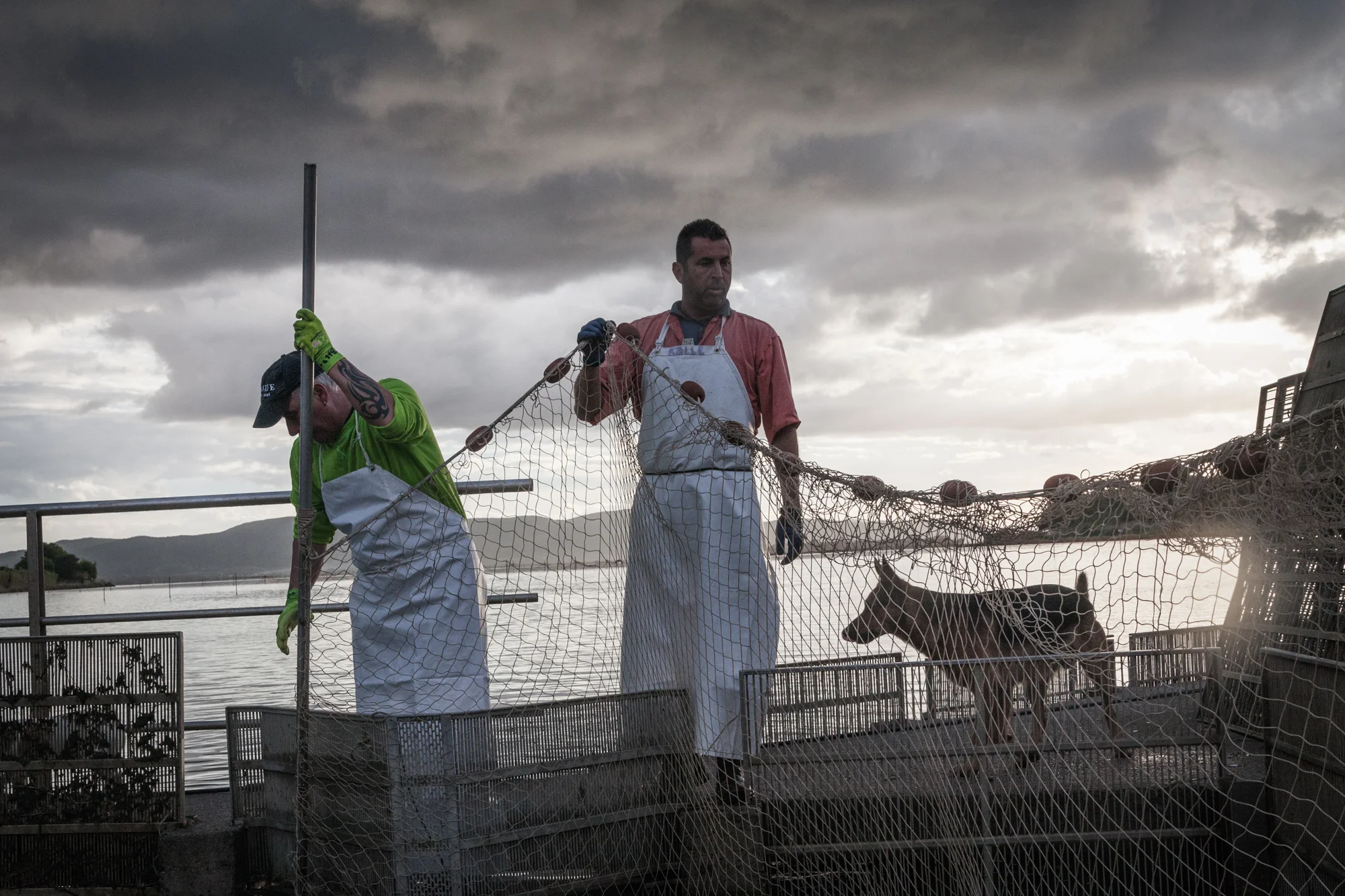 Peschiera di Nassa di Santa Liberata, Orbetello (Grosseto), 2015. La laguna di Ponente, ampia circa 1.500 ettari, è collegata al mare dalla foce di Santa Liberata. La Peschiera è nata secoli fa ed è molto distante dalla fabbrica della S.I.To.Co.