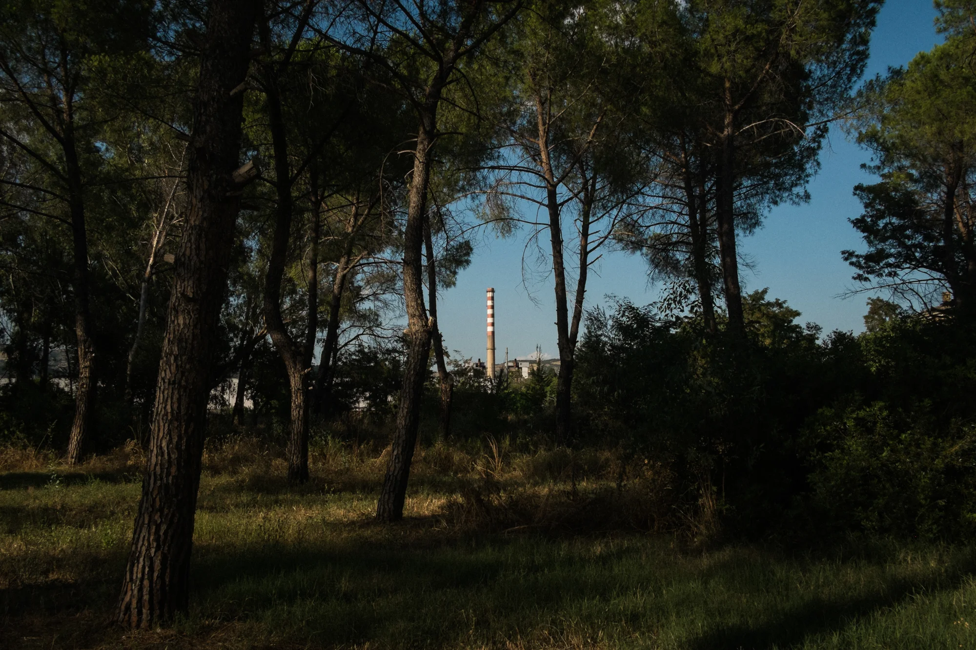 La ciminiera della Tecnoparco nel polo industriale della Val Basento, vista dalla pineta di Pisticci Scalo (MT), 2015. Nel 2014 i vertici dell’azienda, tra cui Michele Somma presidente di Confindustria Basilicata, ricevono avvisi di garanzia della Procura Antimafia di Potenza che sospetta un traffico illecito di rifiuti lungo la filiera del petrolio, che inizia a Viggiano e termina a Pisticci scalo. Qui gran parte delle acque di produzione delle estrazioni petrolifere vengono smaltite nell’impianto di trattamento reflui e sversate nel fiume Basento. 
