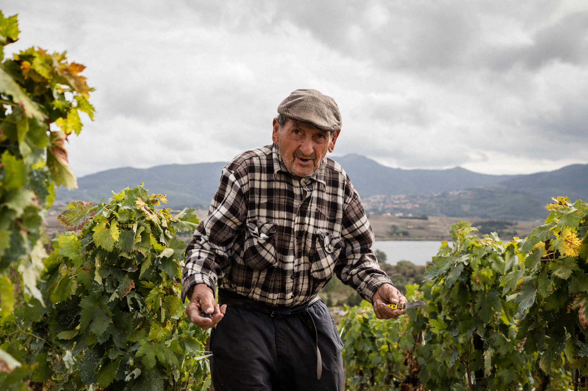  Un anziano signore della zona. Ogni anno coltiva i propri vigneti per produrre uva per se e la sua famiglia. Tito (Zona Industriale), Ottobre 2015 