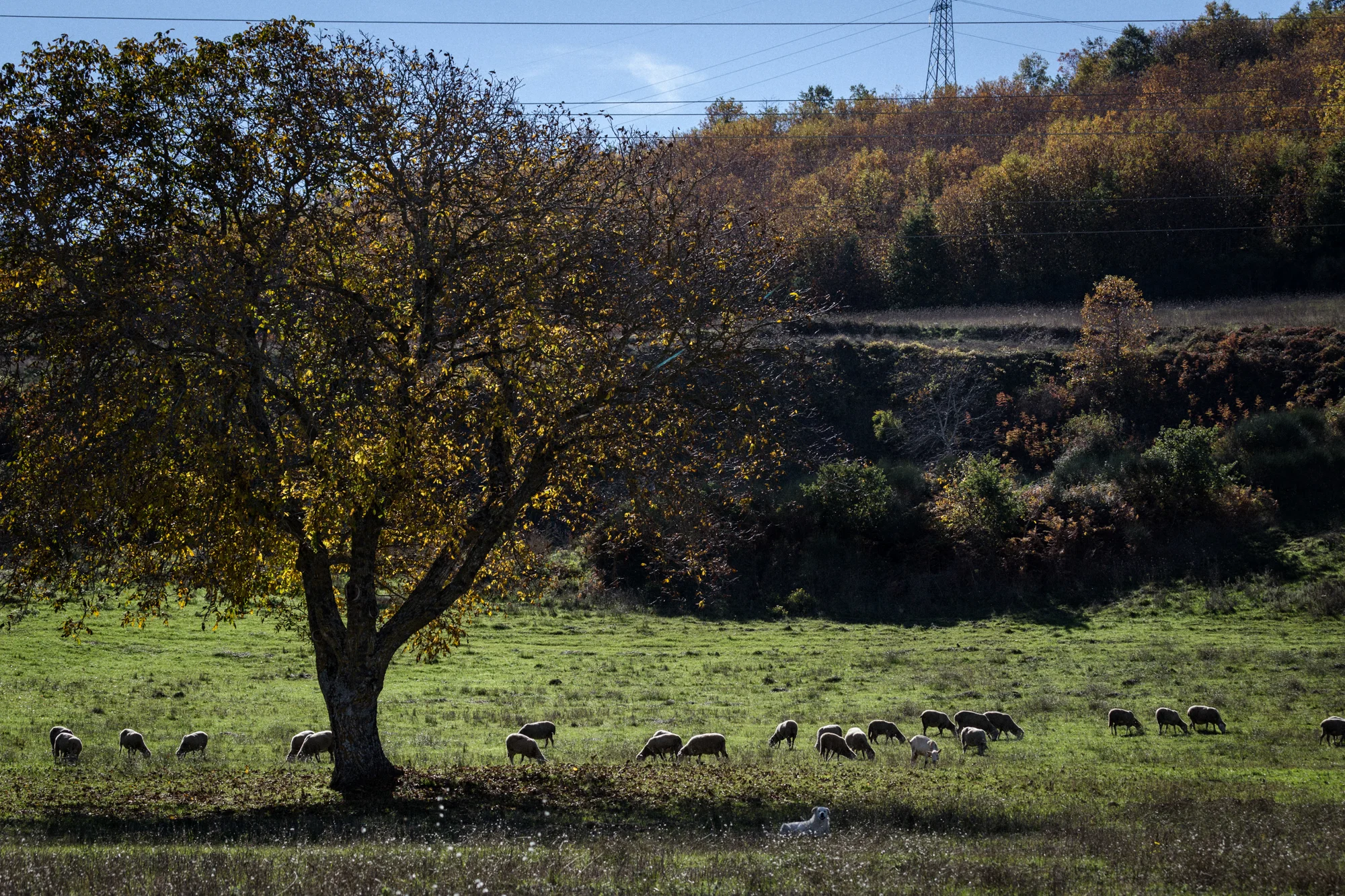 Tito (Zona Industriale), Ottobre 2015