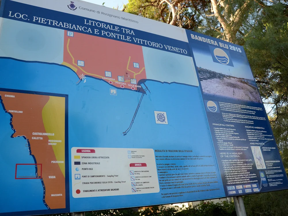 Piantina litorale tra loc. Pietrabianca e pontile Vittorio Veneto, Vada, 2015