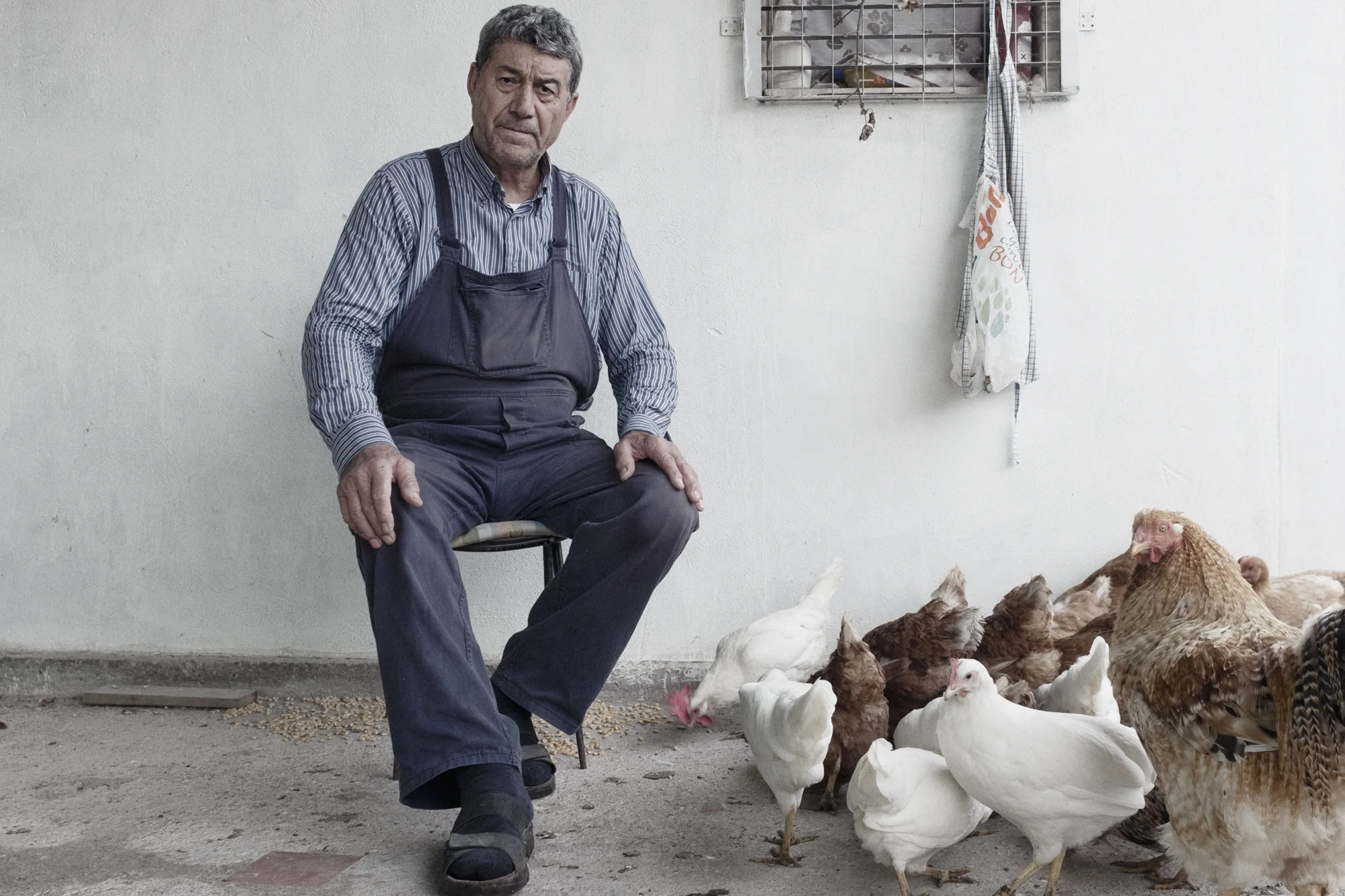 Paolo Bortoletto nel capanno adiacente alla sua abitazione di Borgo Santa Maria (LT), 2015. Gli abitanti della zona sono molto legati alla vita agricola. Tra questi Paolo Bortoletto, figlio di immigrati veneti. Ha fatto diversi lavori, per poi tornare all’allevamento di pollame e alla coltivazione di un piccolo appezzamento di terreno. I suoi prodotti non possono essere certificati come biologici a causa della prossimità con la discarica. Da oltre trent’anni è uno dei pochi attivisti che ne fronteggia l’avanzata. E’ inoltre impegnato per favorire l’integrazione sociale di alcuni dei Rom che popolano il campo nomadi Al Karama, che dista solo 500 metri dal limite sud della discarica e versa in condizioni disastrose.