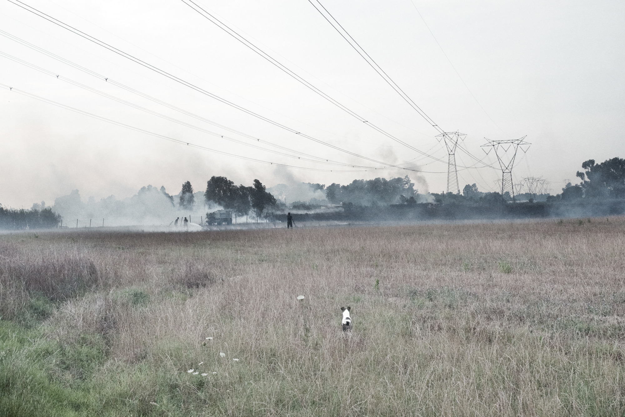  Campi in fiamme nei pressi della centrale nucleare di Borgo Sabotino (LT), 2015 