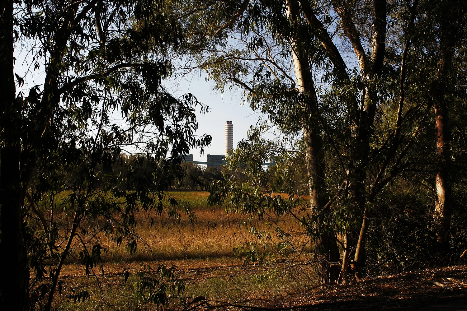 La centrale si trova a ridosso della riserva naturale “Bosco di Cerano”, inserita nell’elenco dei Siti di Importanza Comunitaria per le sue particolarità naturalistiche e per la sua biodiversità.