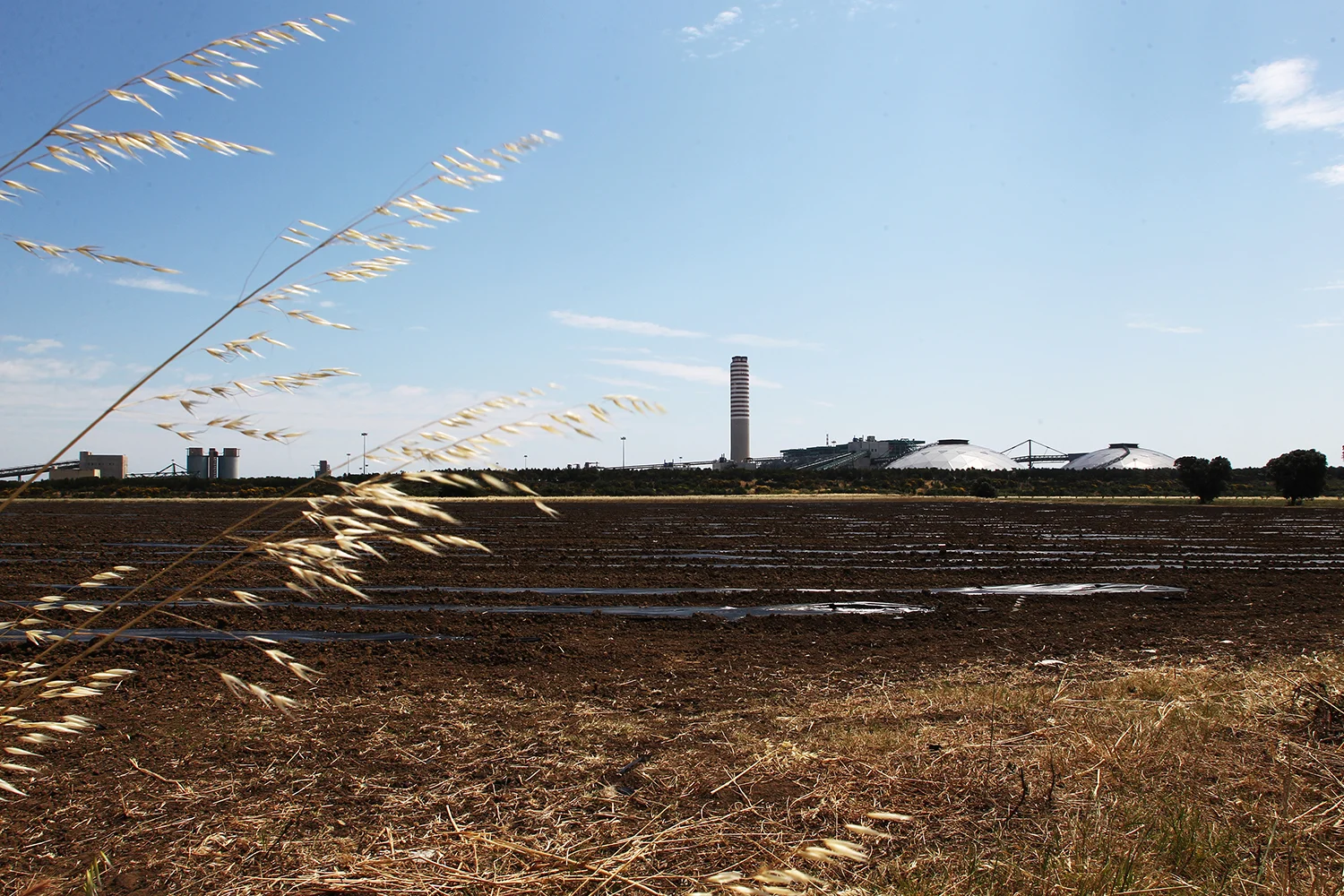 Una veduta della Centrale Enel Federico II, in primo piano un terreno agricolo a ridosso dell’impianto durante la fase di pacciamatura.