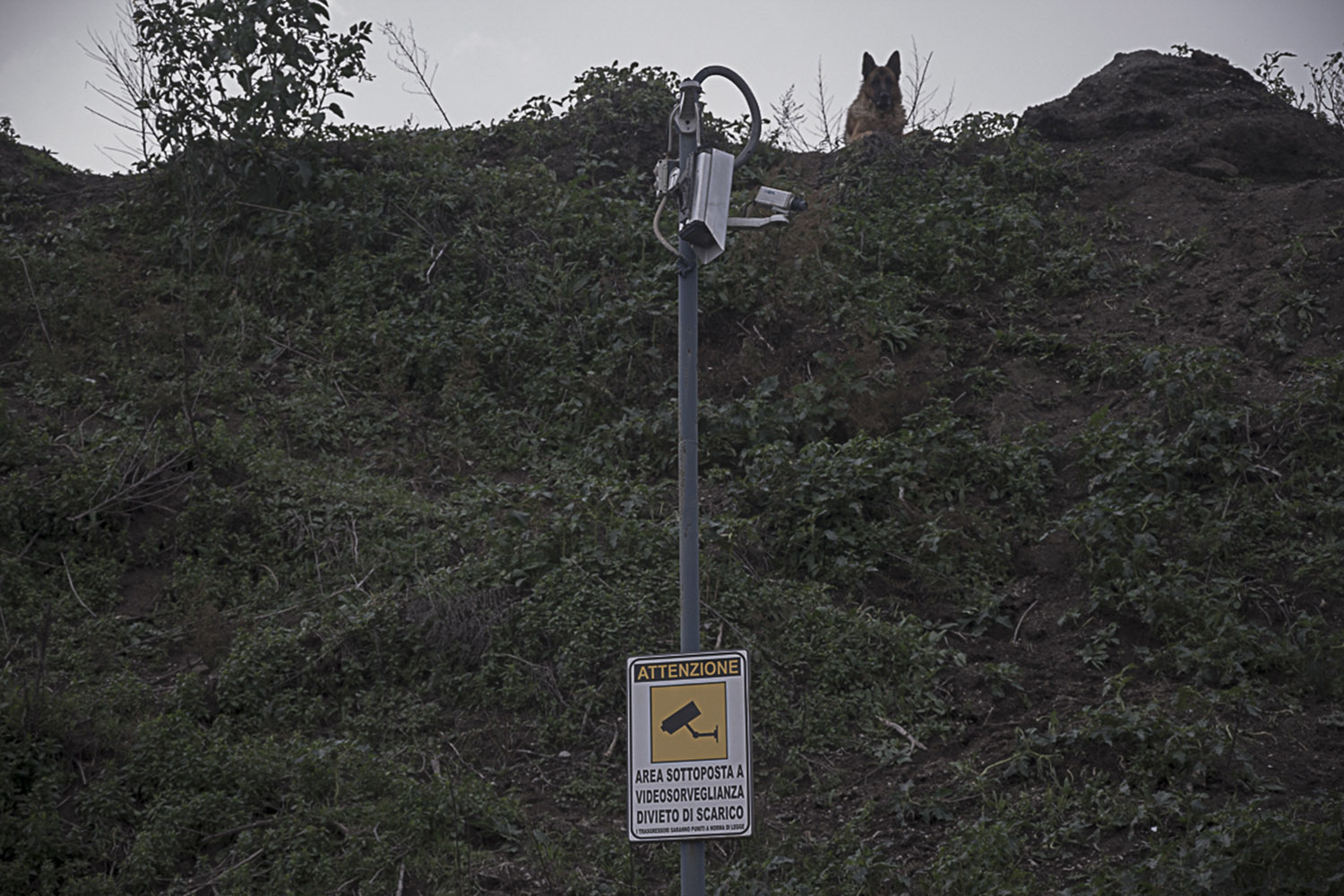  Pianura, Napoli, 2017. Una delle tante videocamere di sorveglianza danneggiate presenti sulla strada che conduce al cratere Senga. 