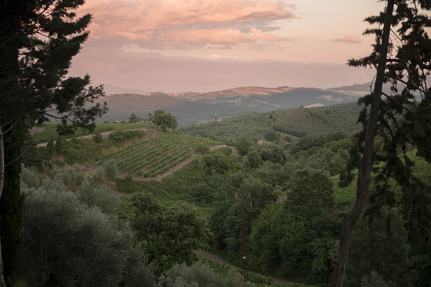 ITALIA, 2017, Veduta delle colline di Montalcino (SI). Molti imprenditori del settore enogastronomico ritengono inopportuna la costruzione di nuove centrali vicino alle produzioni di pregio. Il presidente del Consorzio del Brunello Fabrizio Bindocci si è espresso negativamente riguardo alla costruzione di una nuova centrale in Val d’Orcia. Secondo il presidente di Coldiretti in quest‘area si è sviluppata un’economia che negli anni ha fermato lo spopolamento, portato benessere e creato anche un indotto di tutto rispetto: «di fronte a progetti impattanti per il territorio ci troviamo a dover dire di no, con forza e determinazione» © LUCA CERABONA