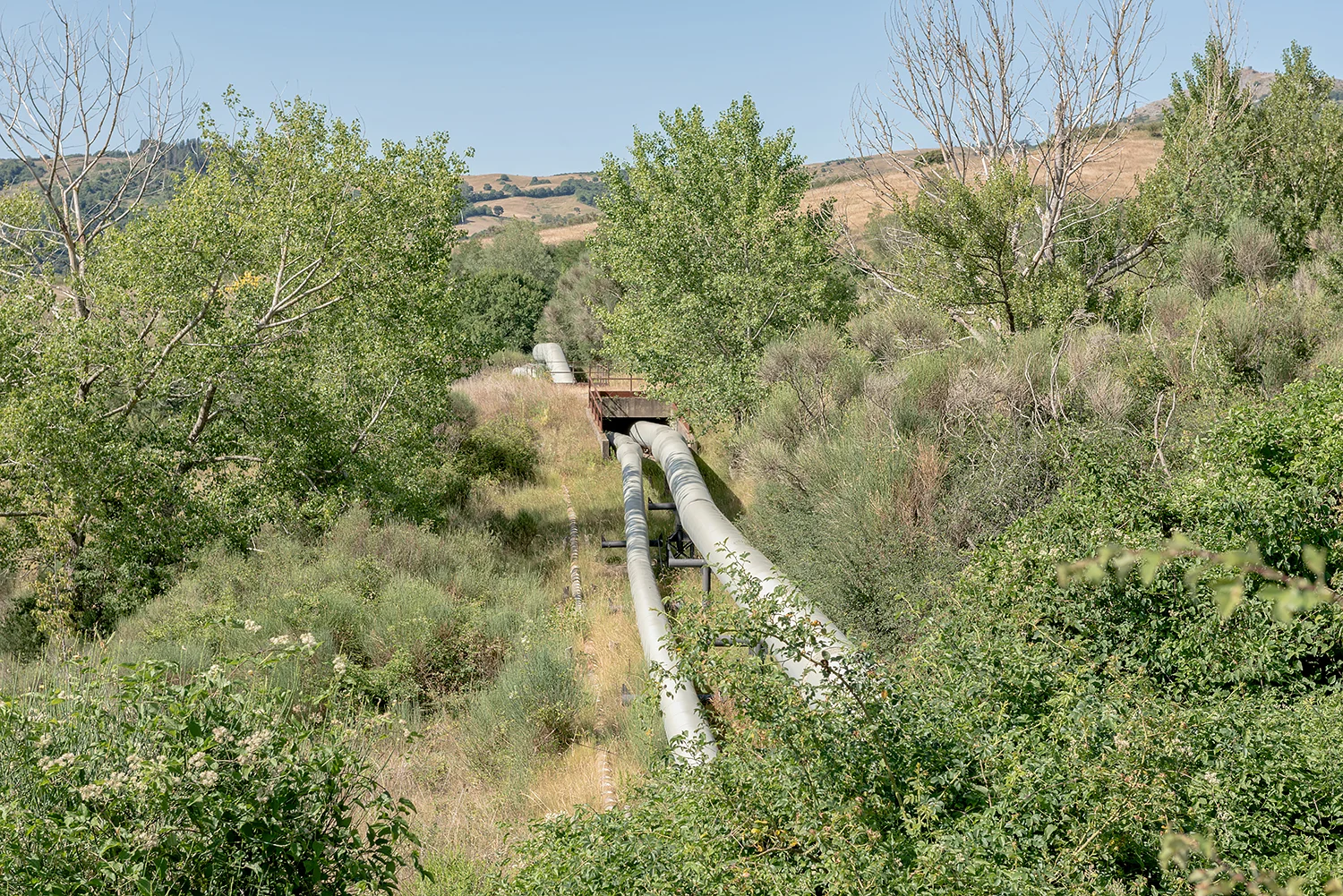 ITALIA, 2017, Bagnore. Vapordotti. Nell’area amiatina è stato condotto uno studio per cercare di ridurre l'impatto visuale delle centrali e dei vapordotti sul paesaggio. Nell’area di Larderello invece è richiesto che i vapordotti siano ben visibili perché si ritiene abbiano un valore storico, essendo il luogo dove è stato costruito il primo impianto geotermico al mondo © LUCA CERABONA