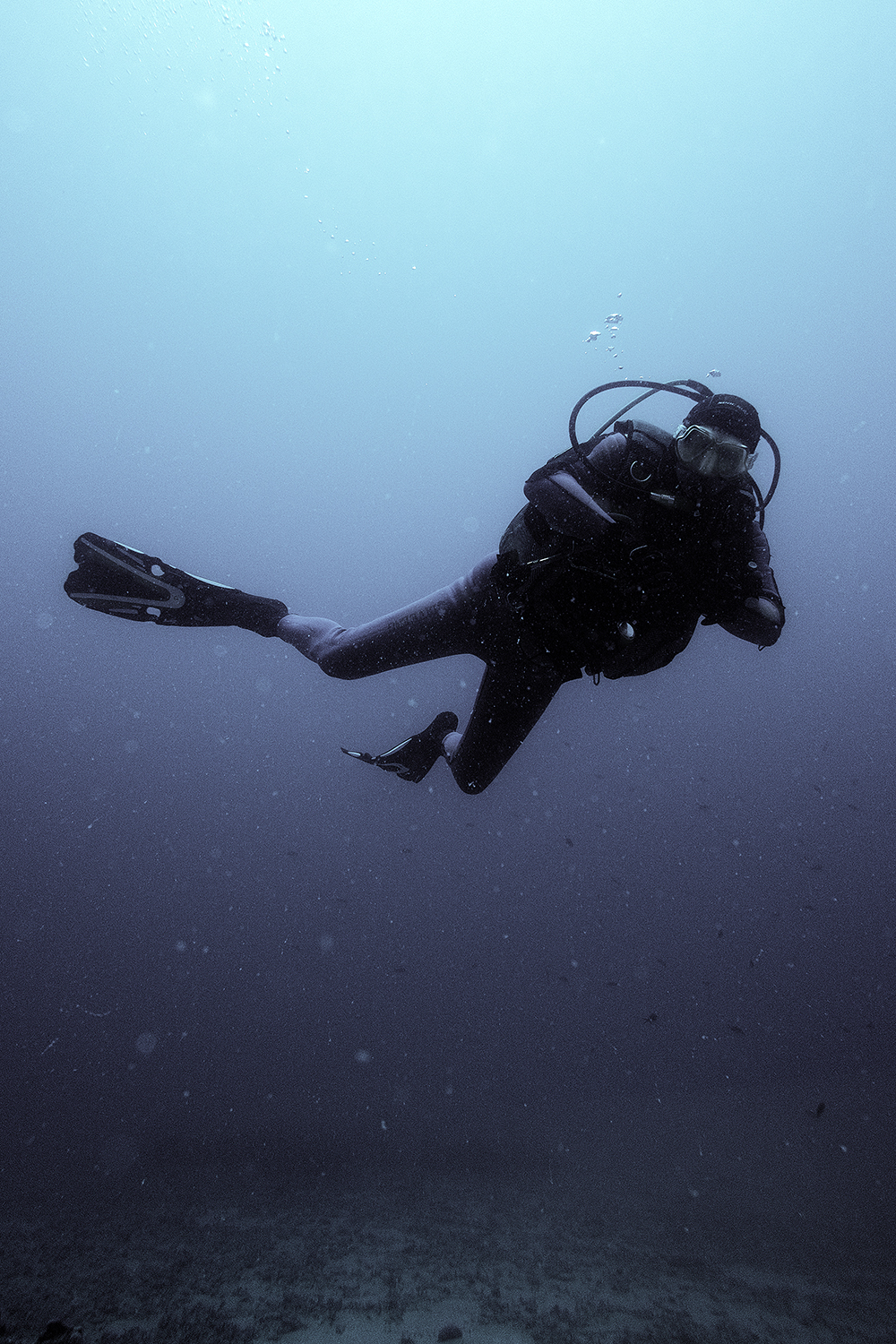  42° 08’ 16” N , 15° 31’ 24” E Immersione nella Secca di Punta Secca, San Nicola, Isole Tremiti   A salvaguardia dell’Area Marina Protetta delle Diomedee è stata realizzata la campagna “Clean Up”, di pulizia dei fondali e delle cale di San Domino, Sa