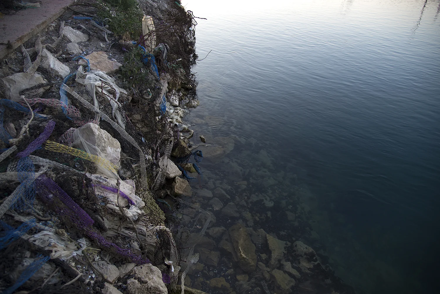 41° 54’ 52” N , 15° 40’ 20”E Foce di Capoiale, Capoiale Le calze portate dal vento raggiungono con facilità gli argini del canale e poi il mare. Durante il ciclo di allevamento dei mitili, variabile tra i 13 e i 15 mesi, queste reti vengono sostituite più volte, con reti a maglie di dimensioni opportunamente crescenti.
