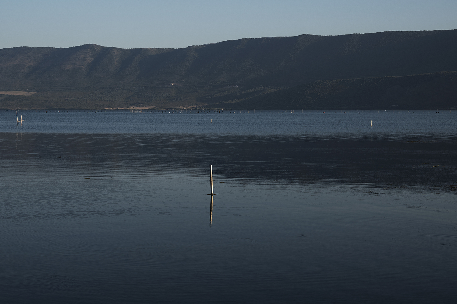  41° 54’ 36” N , 15° 46’ 26” E Lago di Varano, Varano   Nel lago di Varano i mitili vengono allevati con il sistema long-line a sospensione, in vivai di forma rettangolare costituiti da pali in castagno (ricco di tannino e quindi più resistente all’