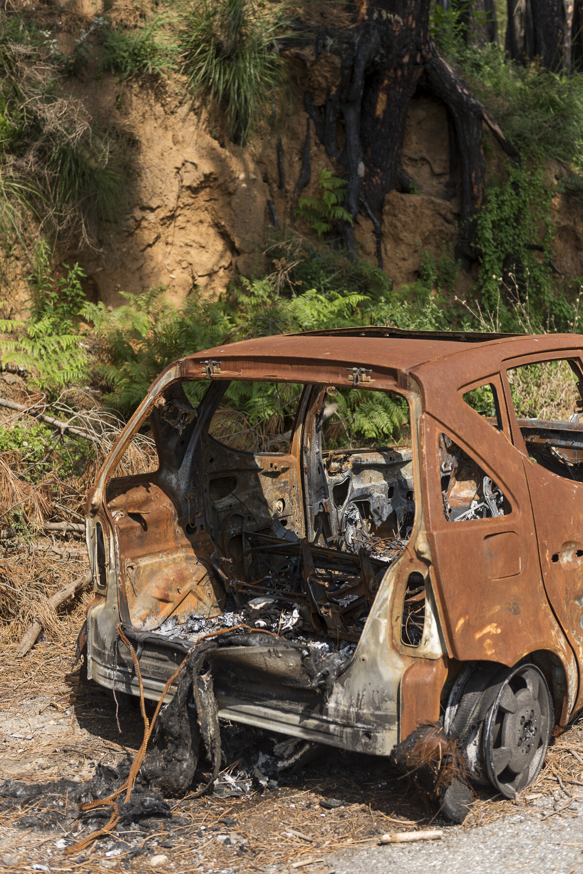  Una macchina andata in fiamme sulla strada che collega Reggio Calabria al Santuario di Polsi, nel Parco Nazionale dell’Aspromonte, il 12 agosto 2018.© JACOPO LA FORGIA / MICHELE SPATARI 